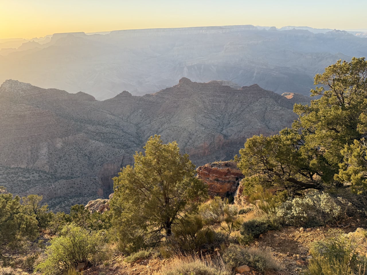 Západ slunce nad Grand Canyonem s borovicemi v popředí a skalními stěnami v dálce
