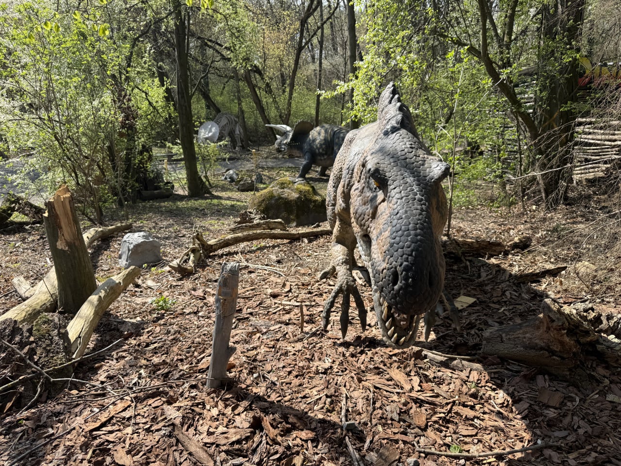 Modely dinosaurů v lesním DinoParku mezi stromy a kameny.