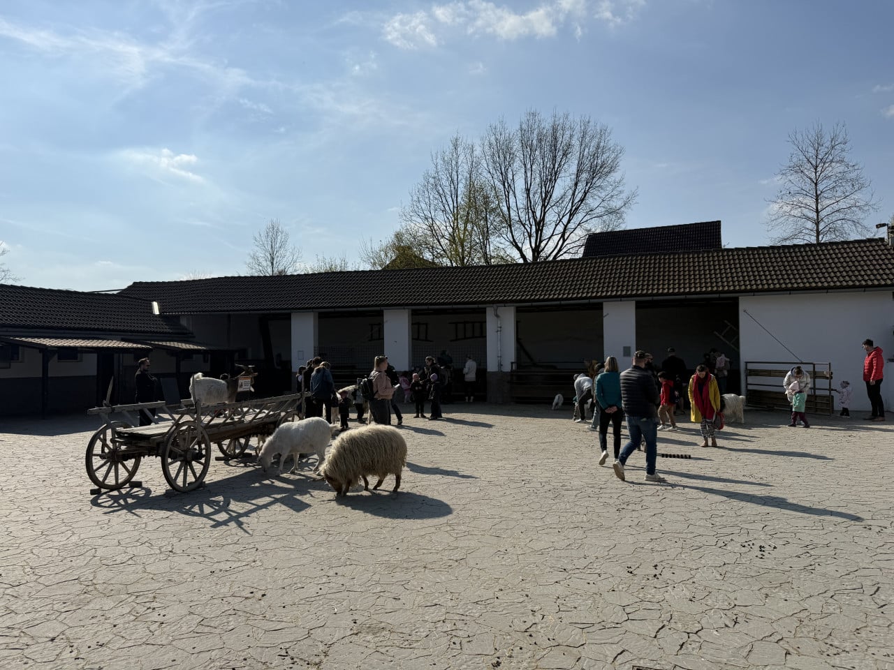 Návštěvníci v zoo u vozíku s ovcemi před nízkou budovou.
