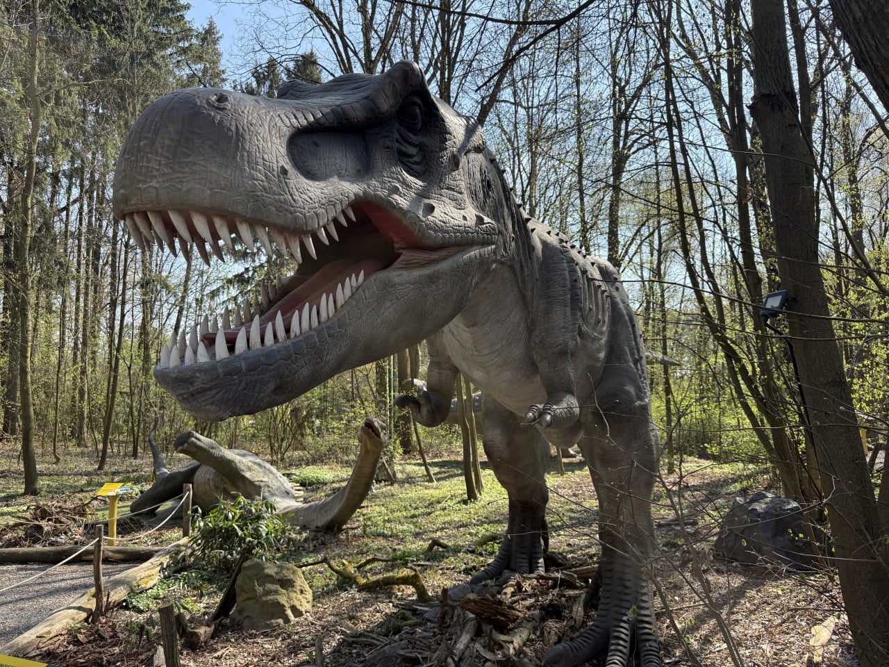 Velký model tyranosaura v lese s otevřenou tlamou a ostrými zuby.
