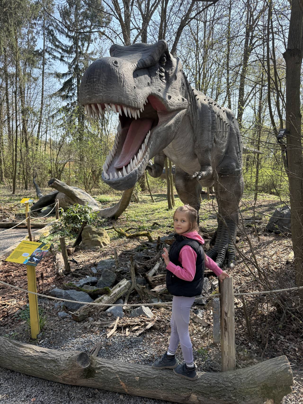 Dívka stojí před obřím modelem řvoucího Tyrannosaura v lese.