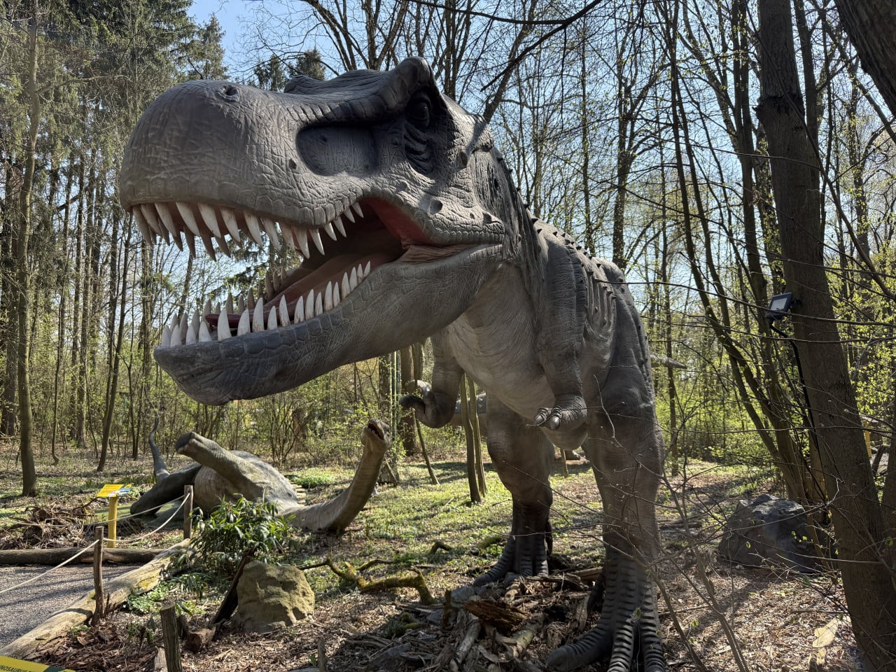 Velký model tyranosaura v lese v DinoParku Vyškov s otevřenou tlamou.