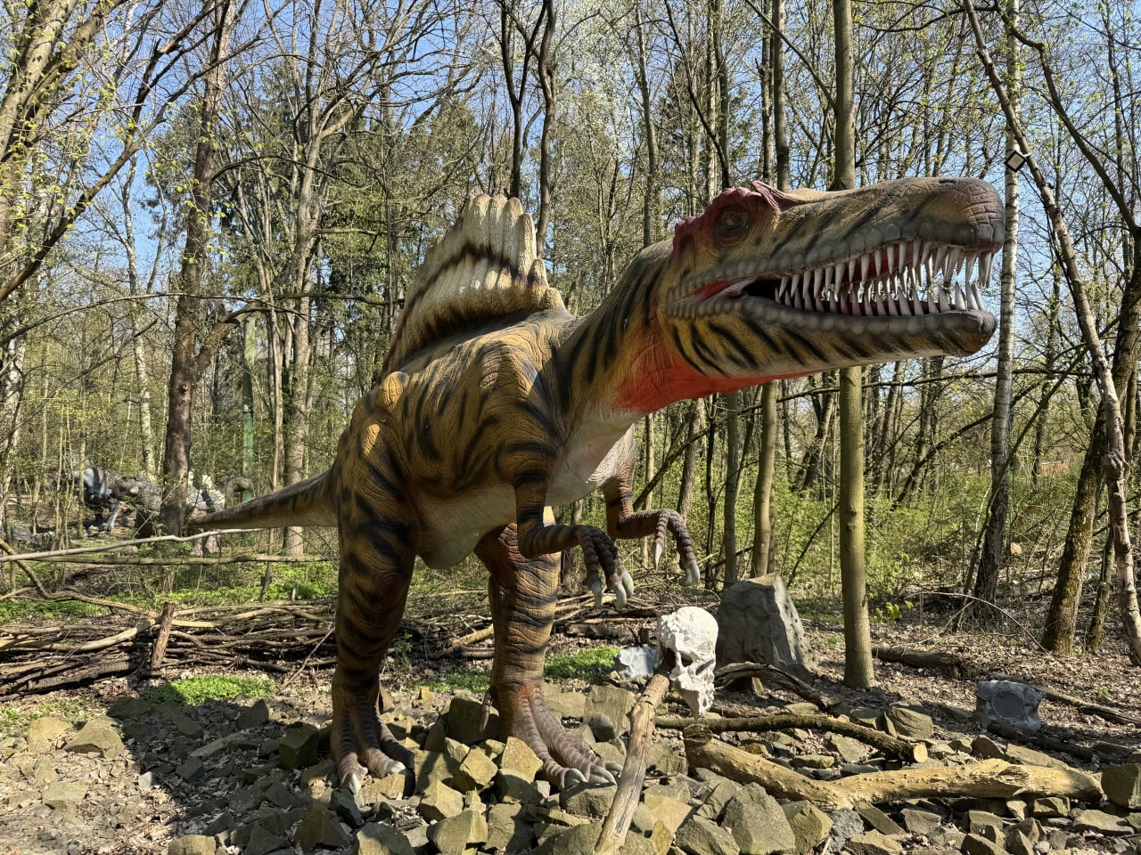 Model dinosaura v lese s otevřenou tlamou a ostrými zuby.