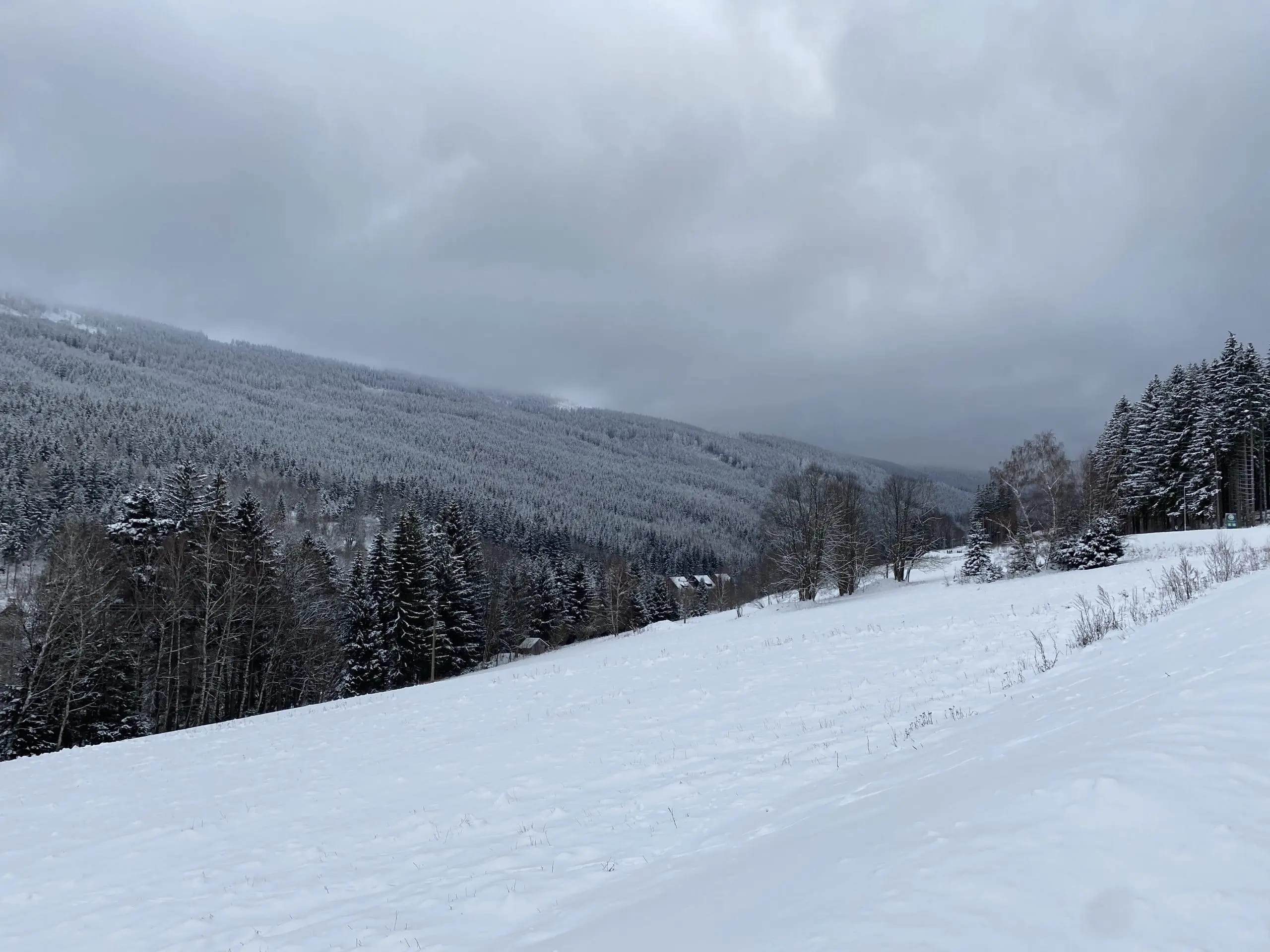 dolni-morava-cesta-k-lanovce-na-rozhlednu10-scaled
