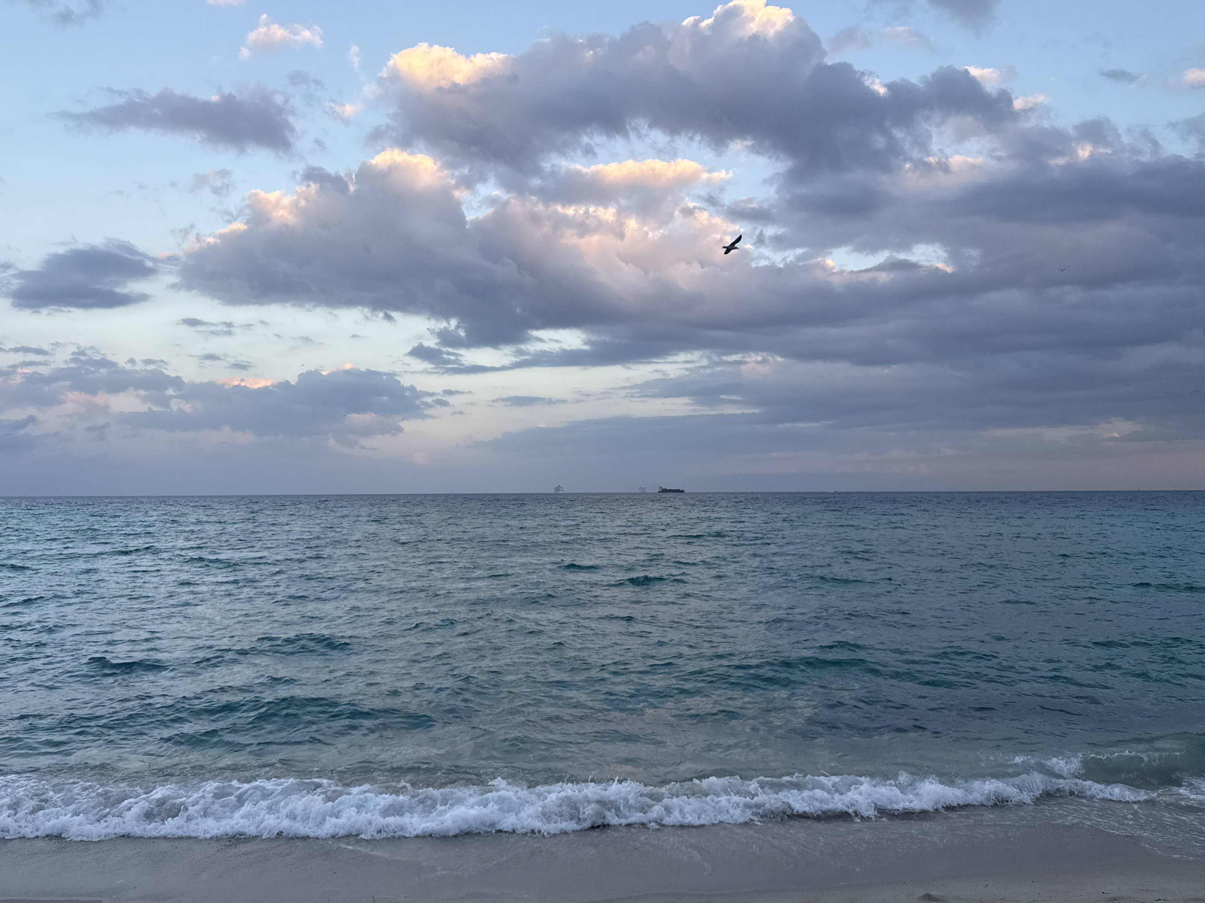 Mořská hladina u pláže, vlny na písku, dramatické mraky a pták, na obzoru lodě