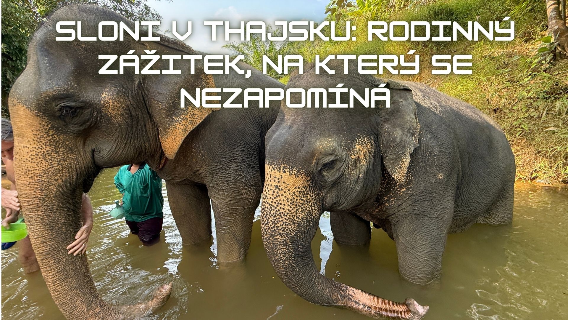 🐘 Sloni v Thajsku: rodinný zážitek, na který se nezapomíná (návštěva etické sloní farmy v Khao Sok)