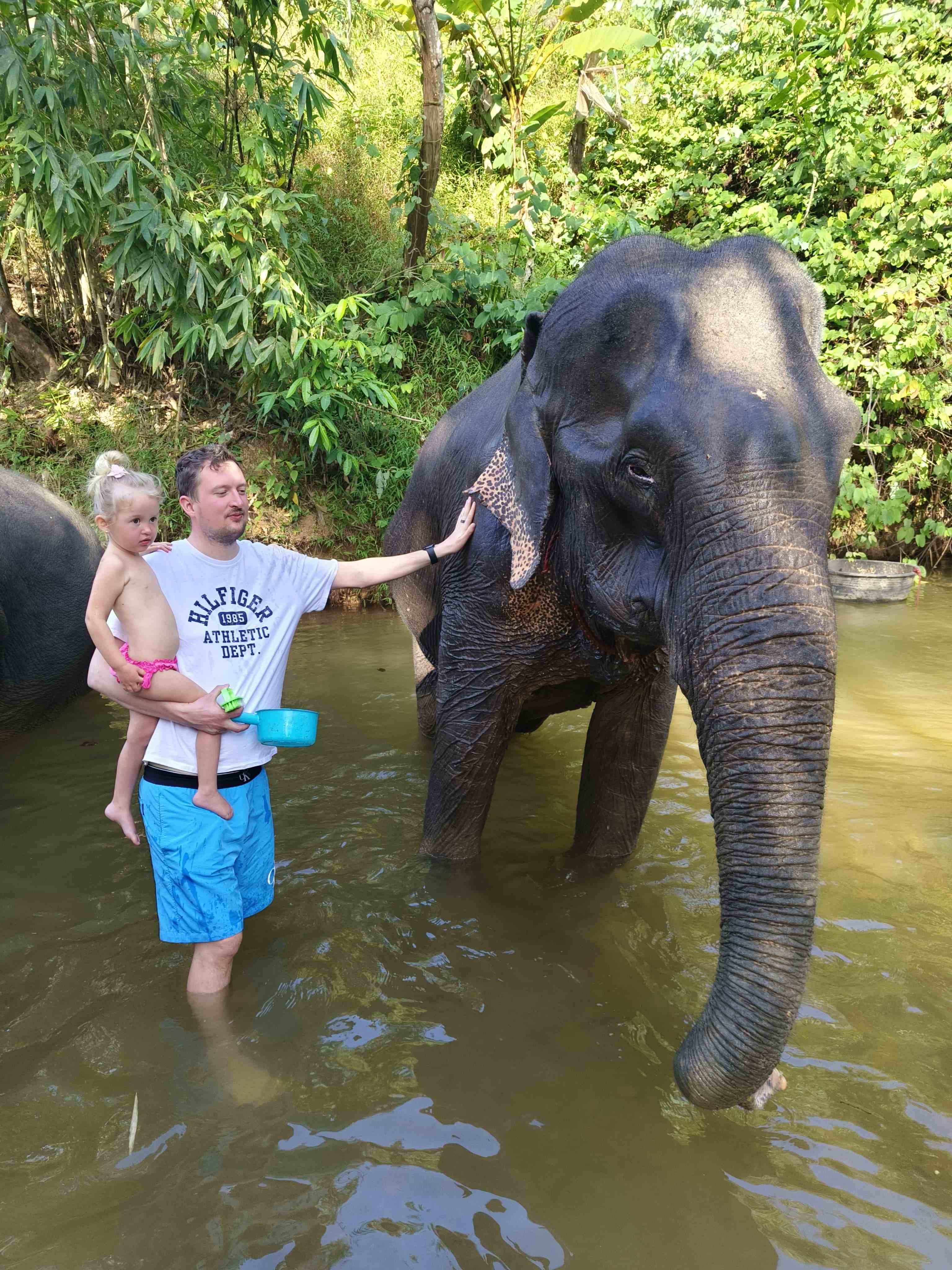 Muž drží dítě a hladí slona v řece, tričko HILFIGER 1985 ATHLETIC DEPT.
