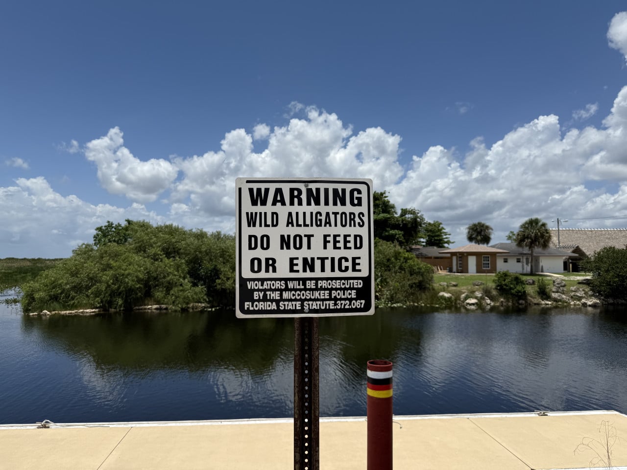 Varovná cedule před aligátory u vody s domem a modrou oblohou v pozadí