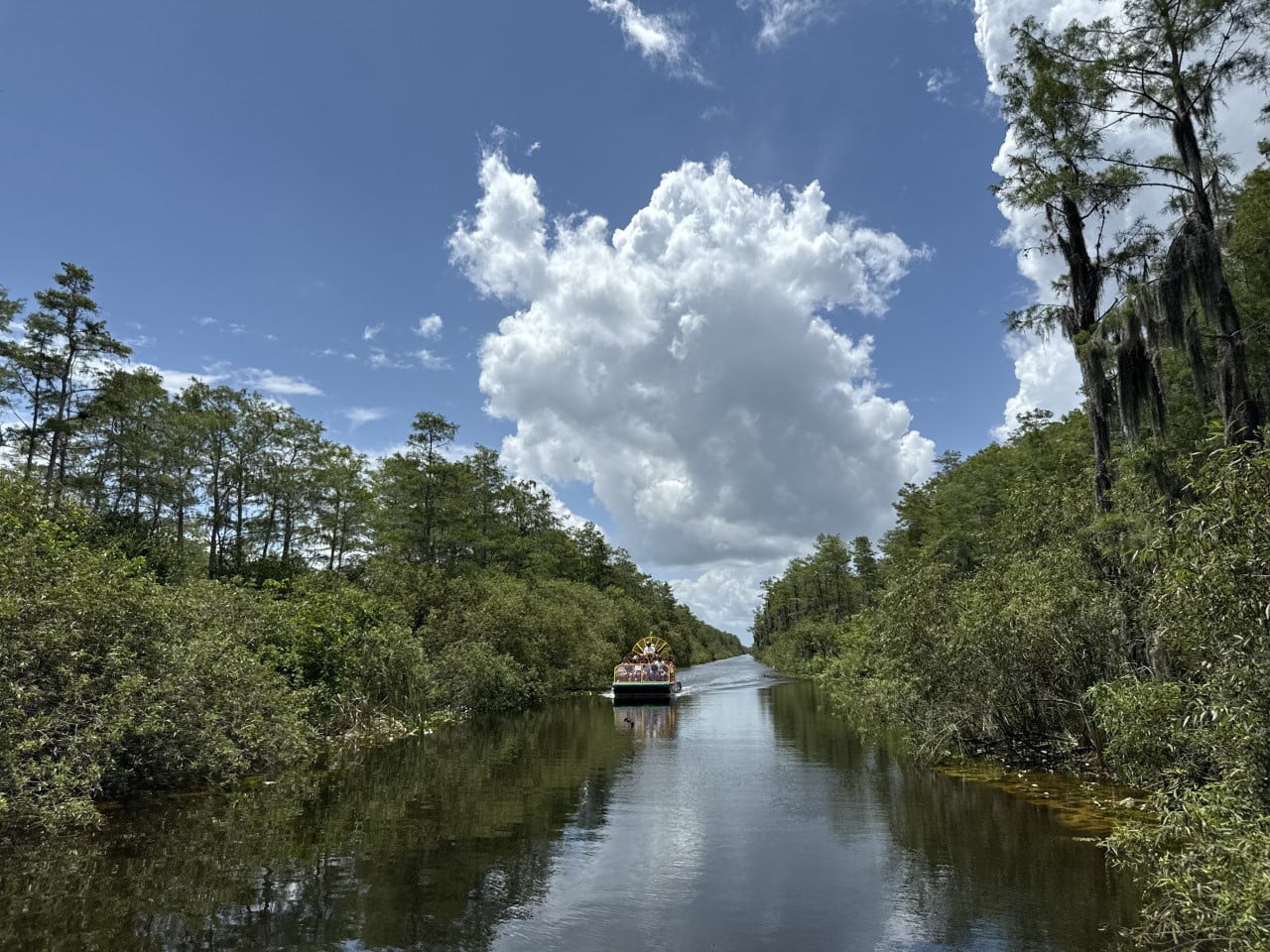 Airboat pluje po úzkém kanálu mezi bažinami Everglades pod velkými oblaky.