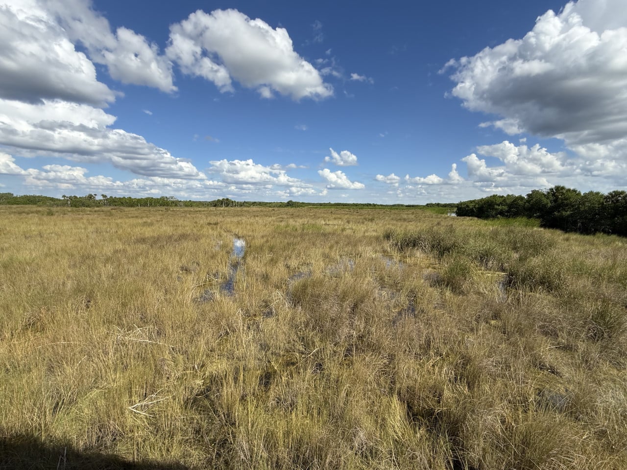 Rozlehlá travnatá mokřina Everglades pod modrou oblohou s mraky