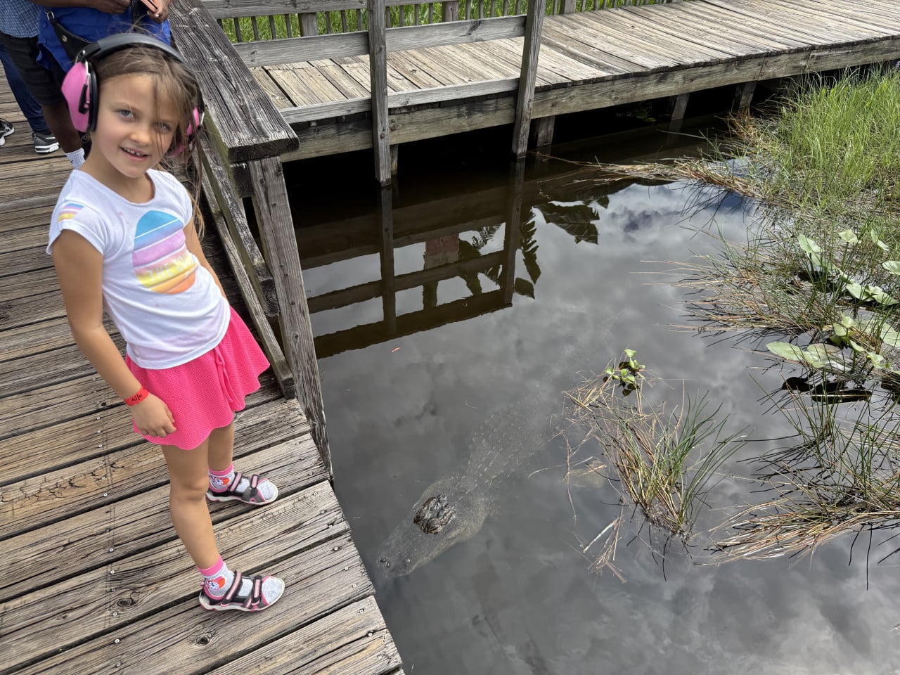 Dívka s růžovými sluchátky stojí na molu nad aligátorem v močálu.