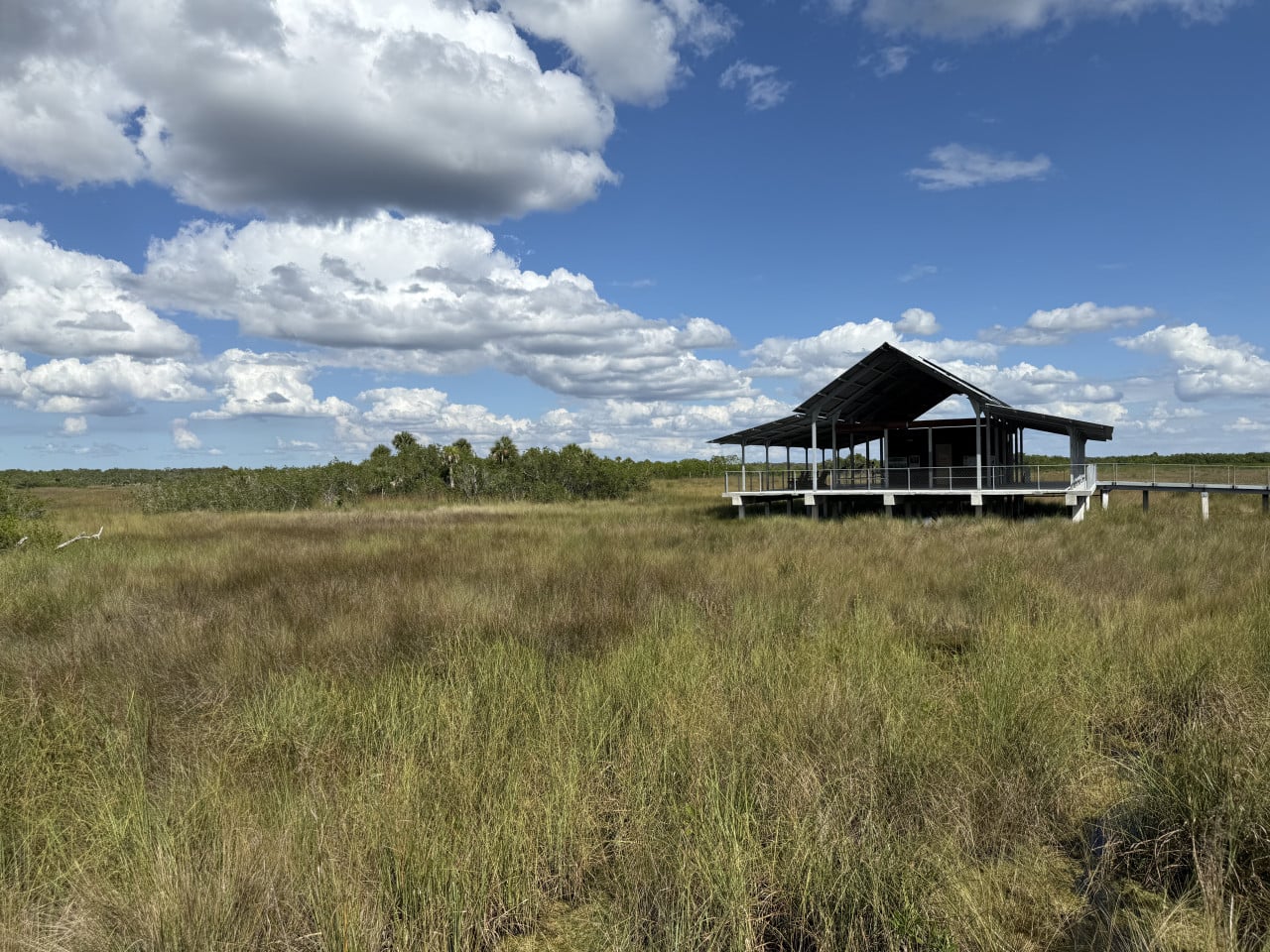 Vyhlídková budova na dřevěném chodníku uprostřed travnatých mokřadů Everglades.