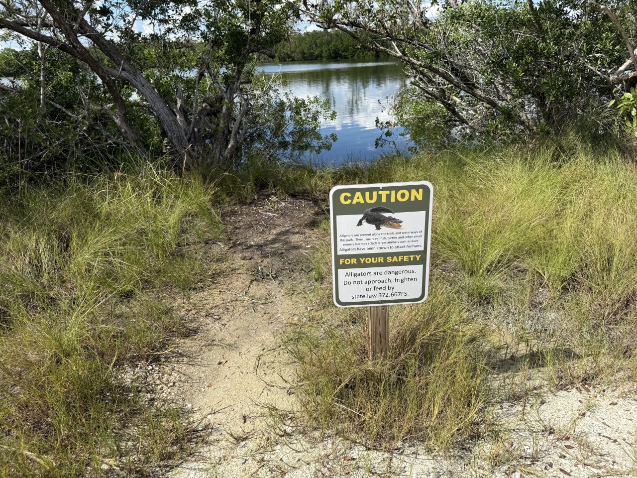 Caution sign near marsh trail at Everglades lake shore