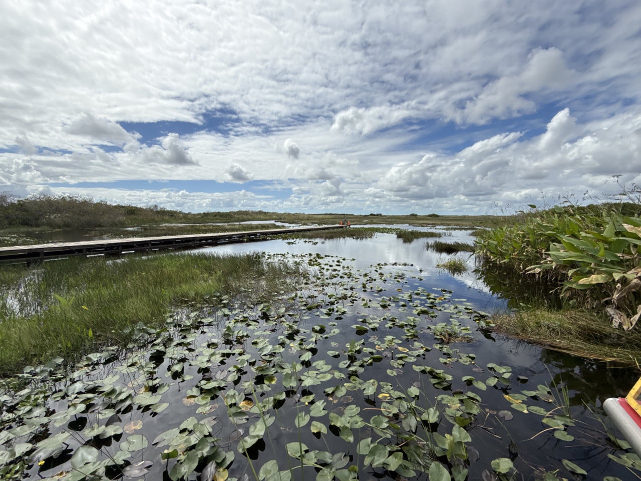 Dřevěný chodník nad vodními rostlinami v rozlehlých floridských mokřadech pod oblačnou oblohou