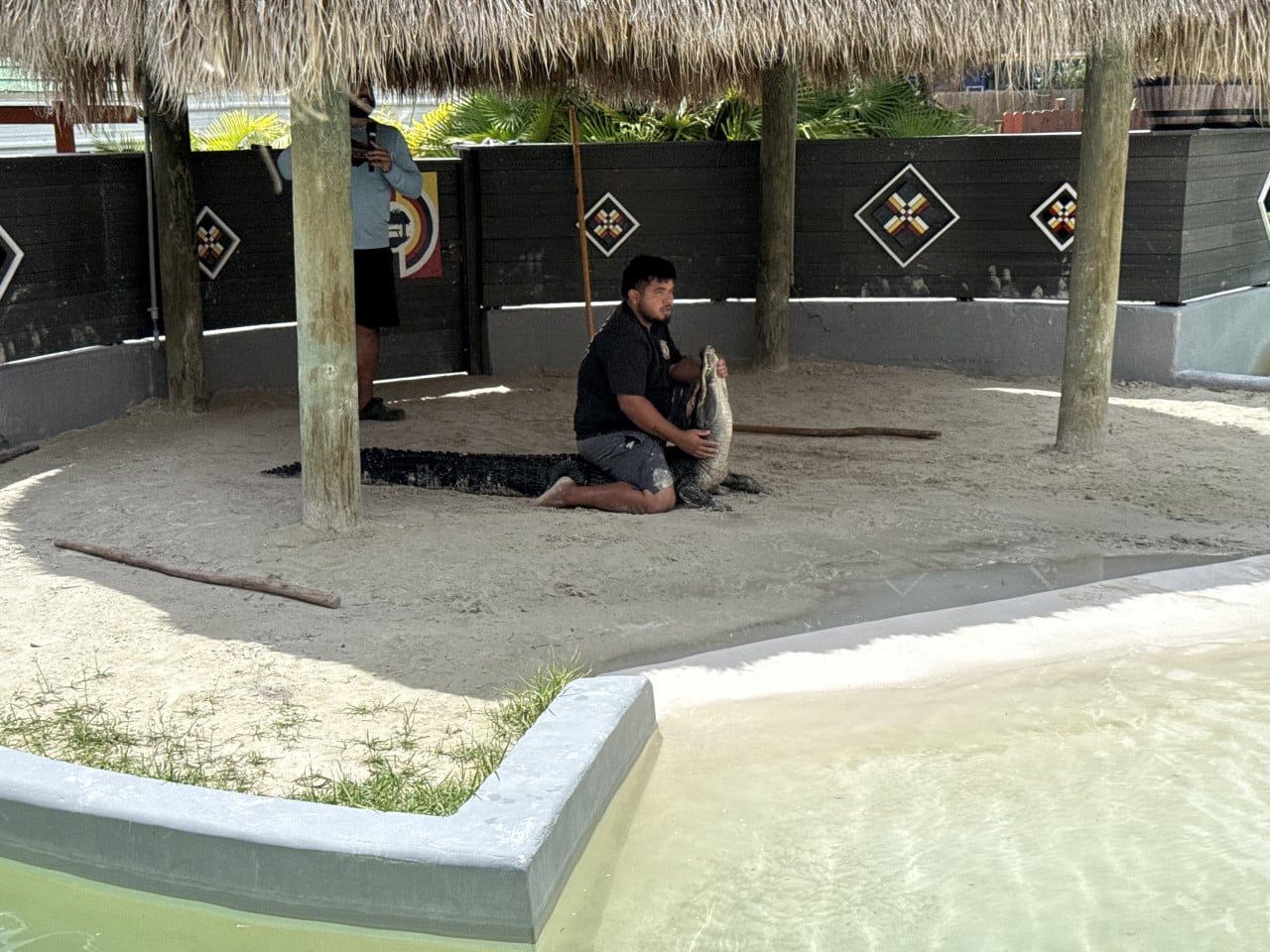 Přehlídka s aligátorem v Miccosukee Indian Village u vody