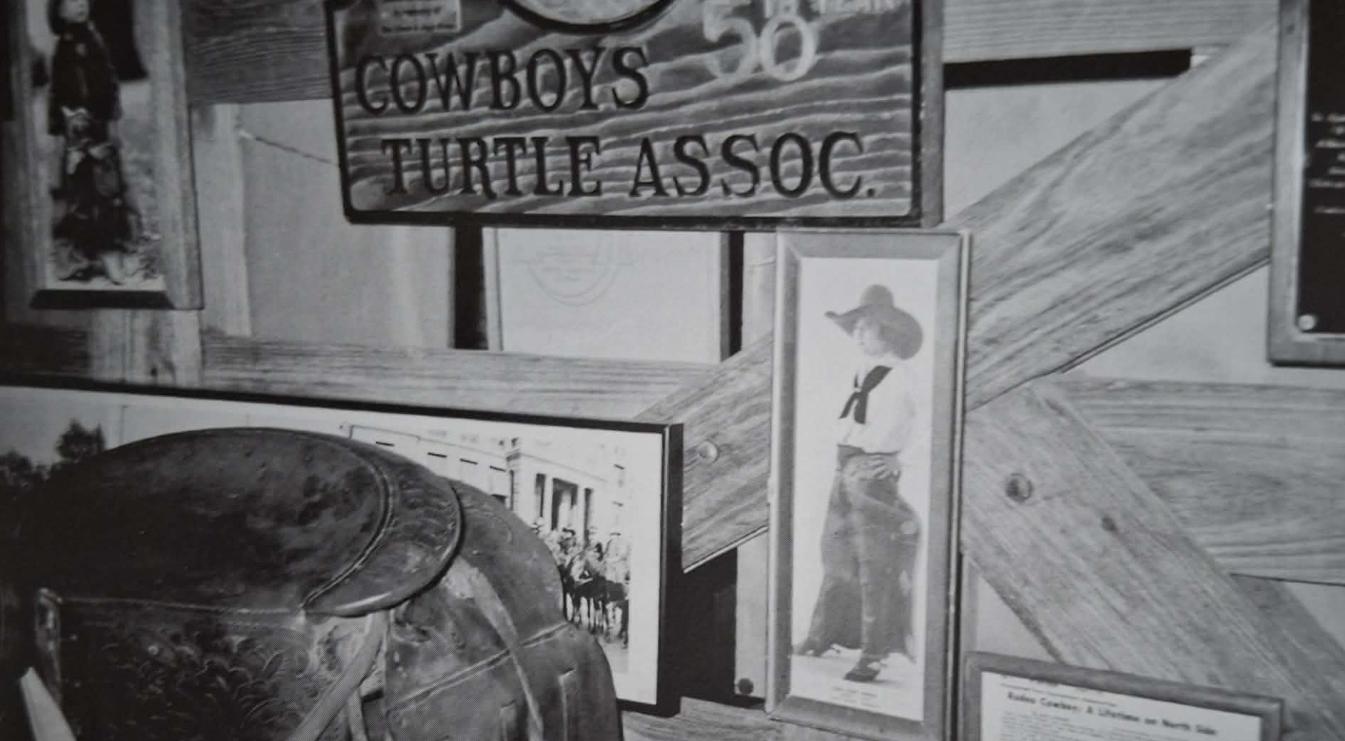 Cowboys Turtle Association