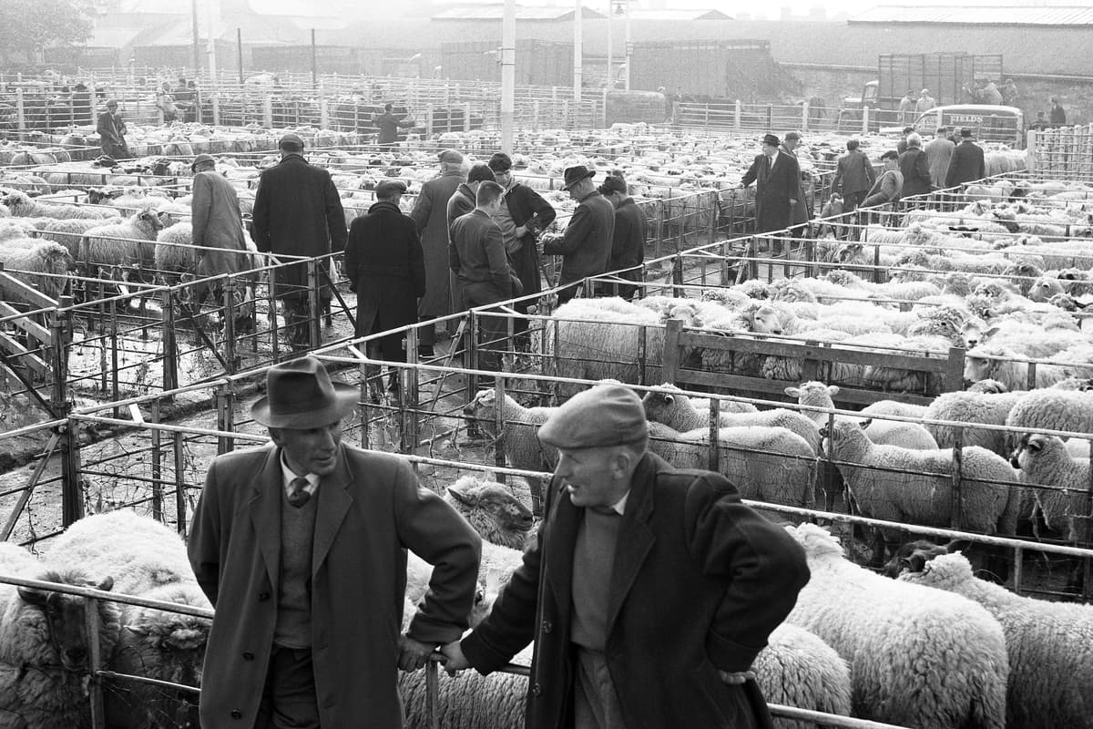 Fort Worth: Část třináctá - Přechody