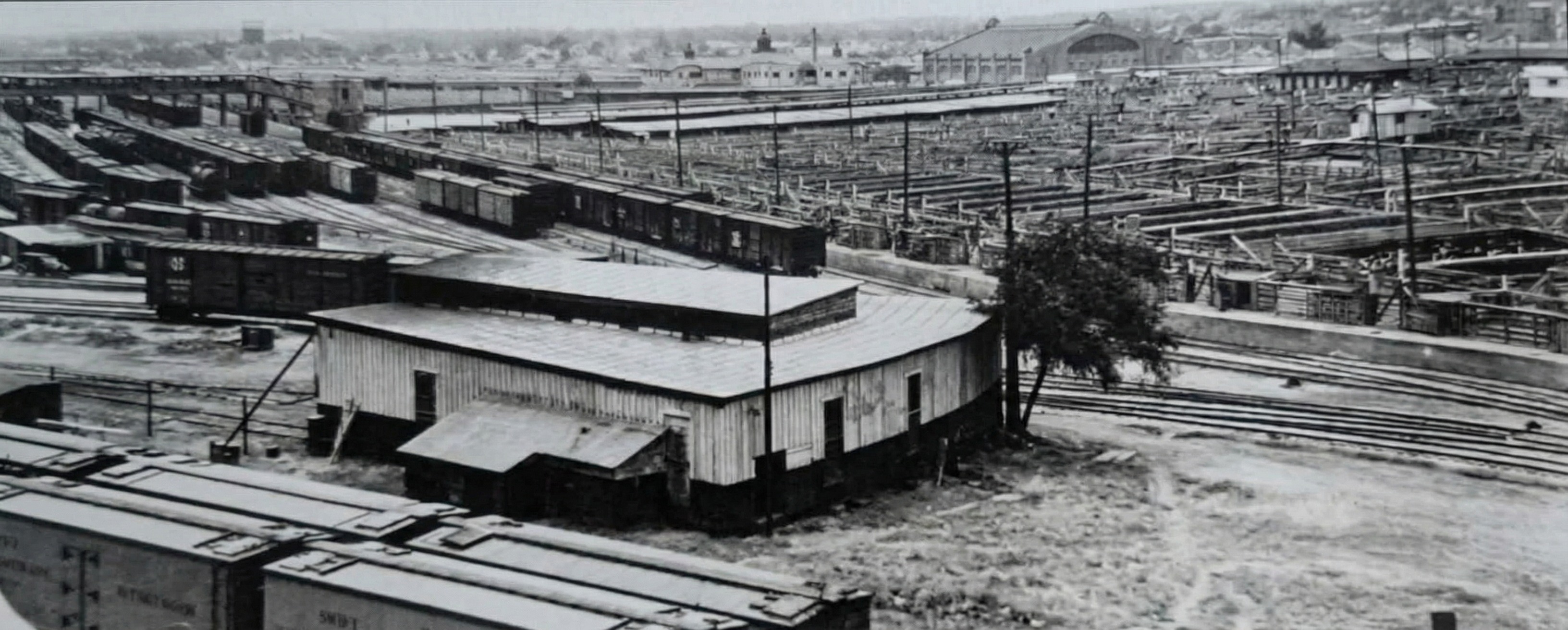 Část kolosea s budovou Livestock Exchange Building po jeho levici.