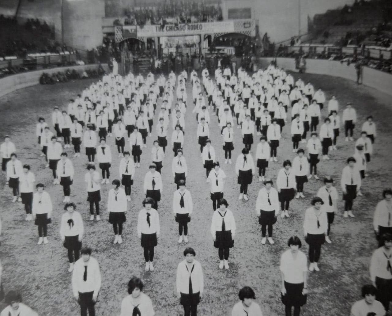 Členové spolku Sokol na vystoupení v koloseu.