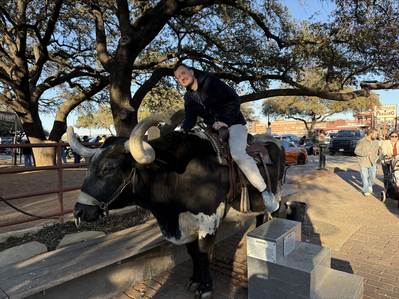 Muž sedí v sedle na longhornovi; v pozadí cedule Stockyards Parking.
