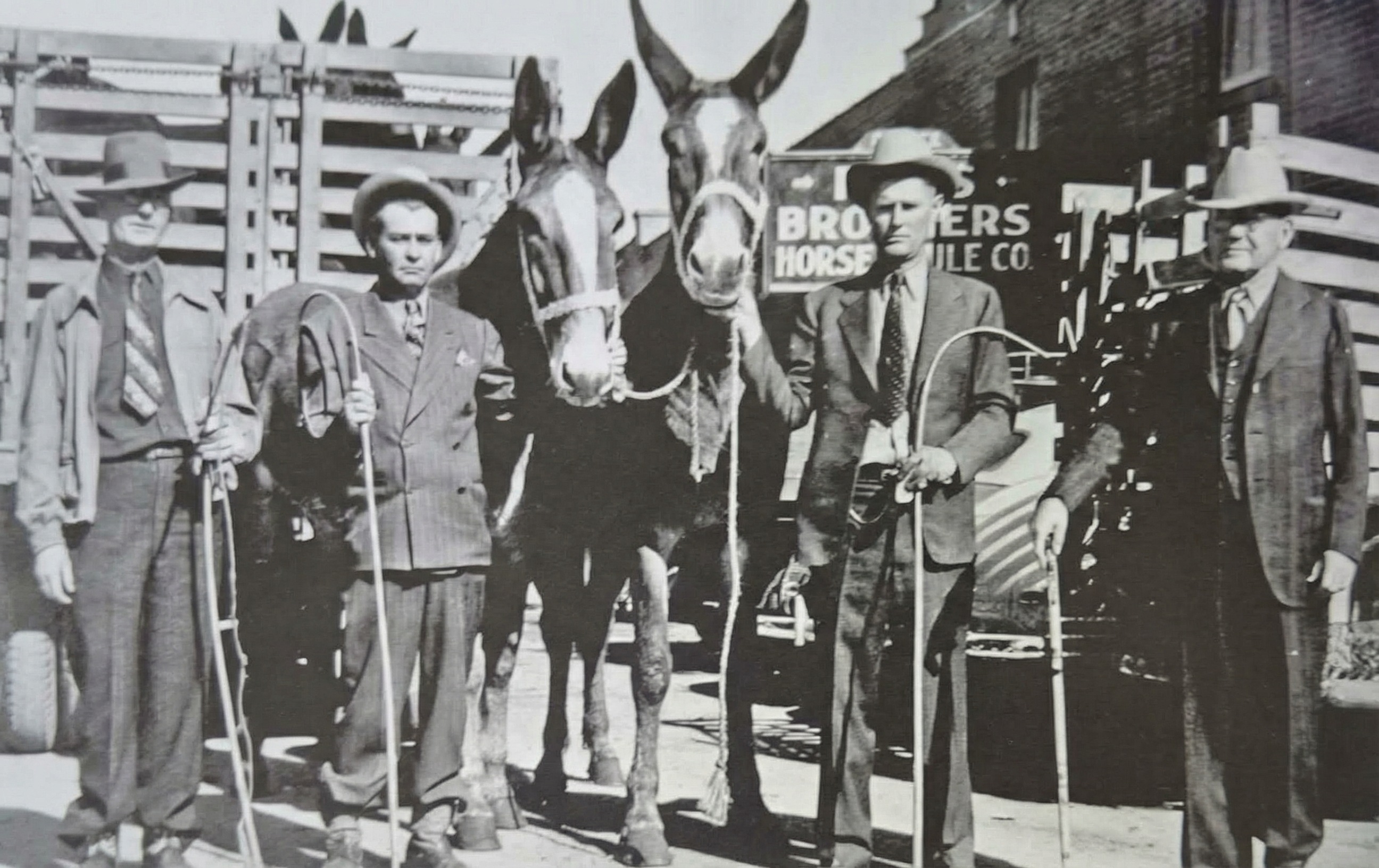 Společná fotka komisionářů