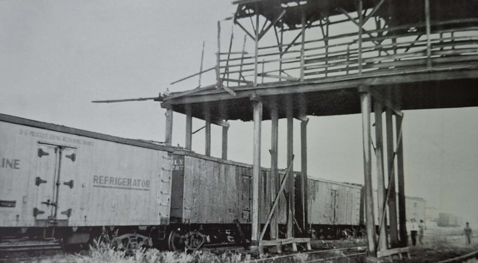 Vagóny připravené pro nakládku poraženého dobytku.