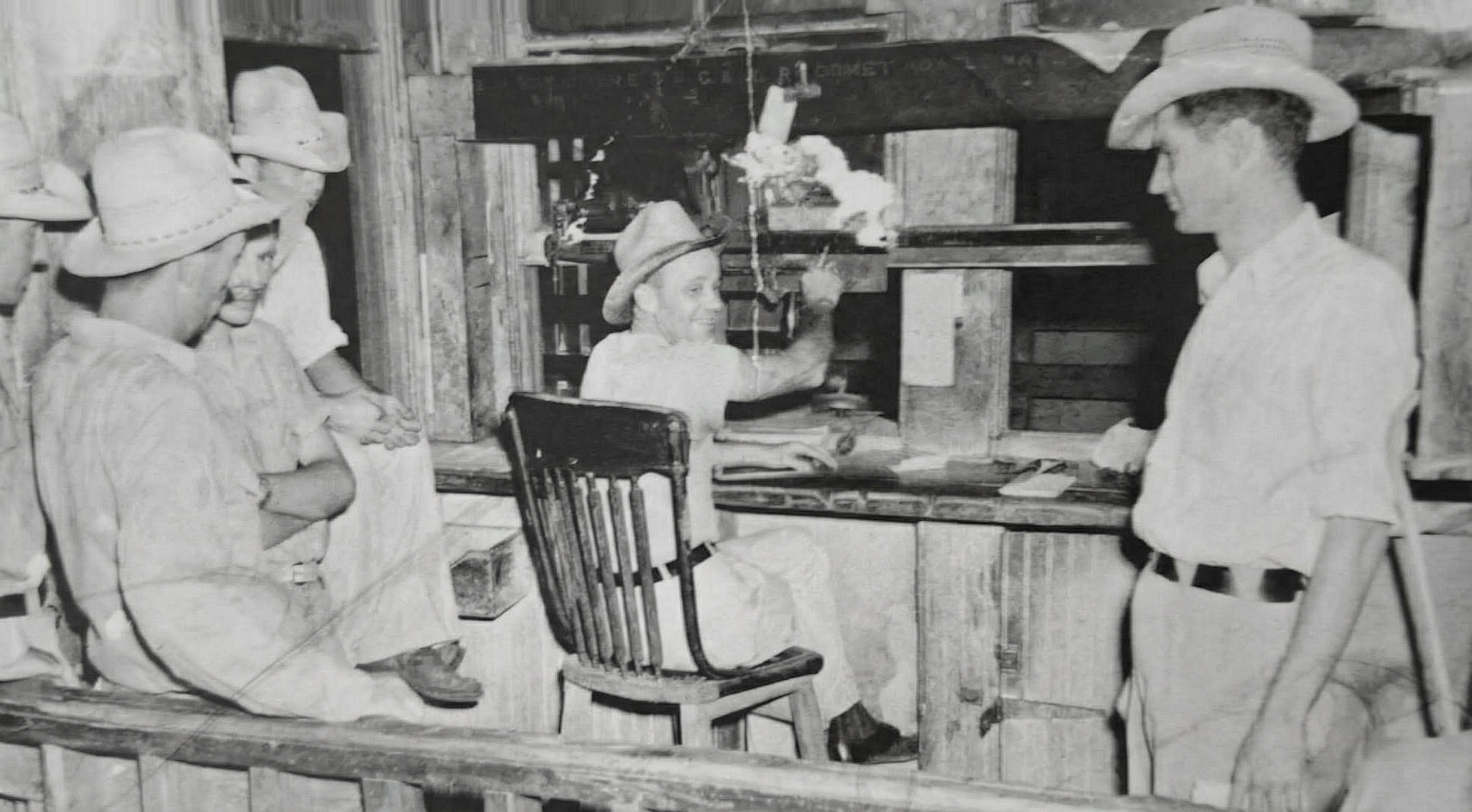 Probíhající vážení dobytku