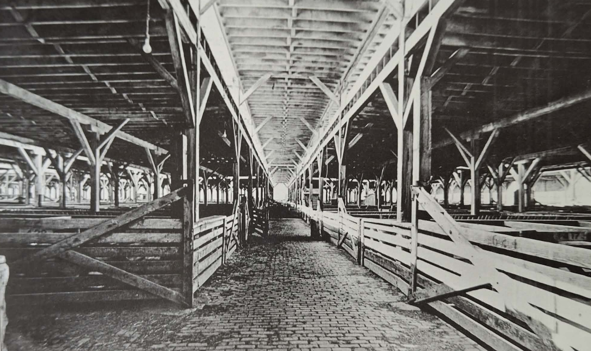 Prázdné kryté ovčí ohrady na jižní straně Exchange Avenue.