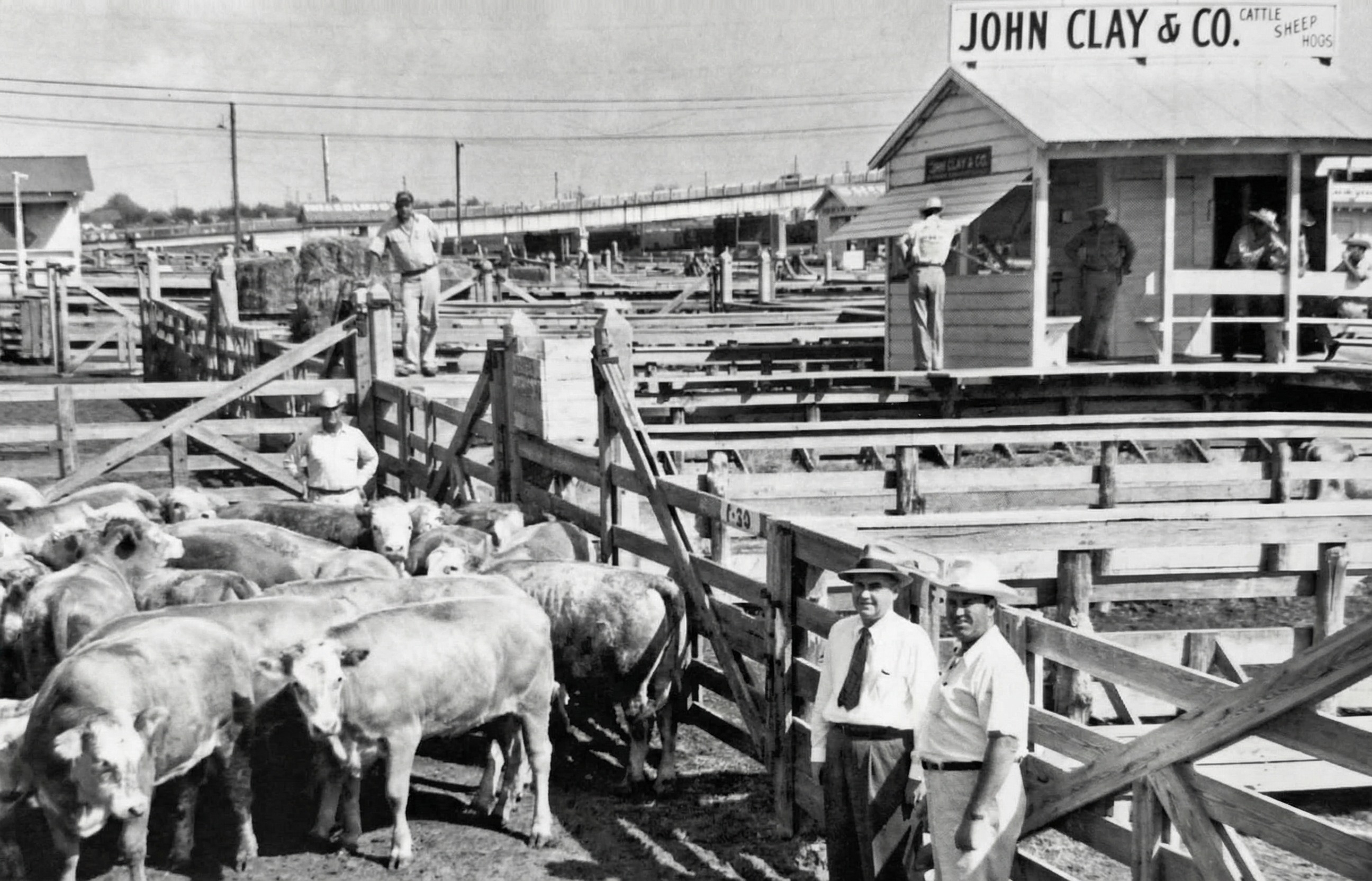 Foto ohrad a domku patřící společnosti John Clay and Company