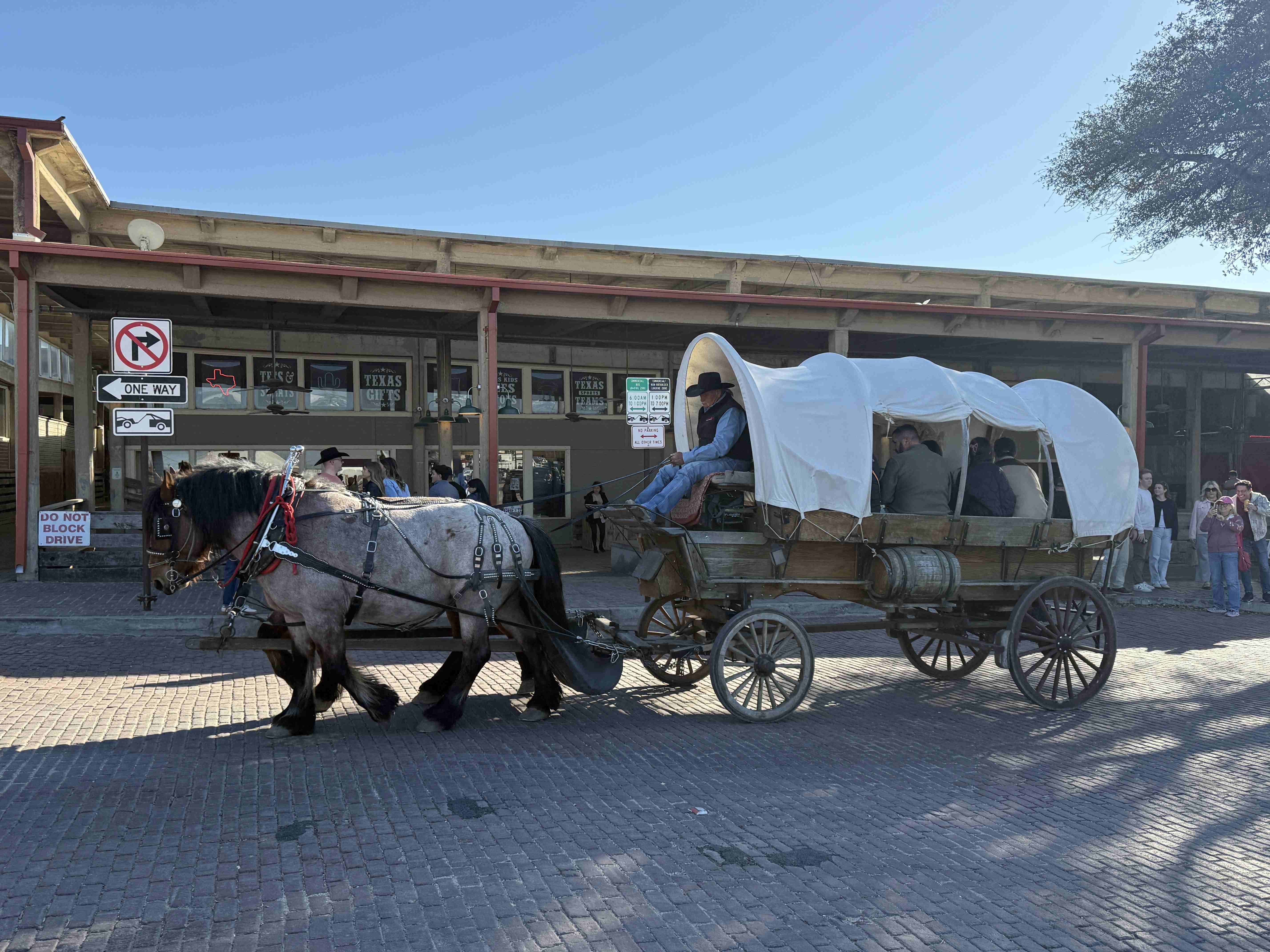 Krytý vůz tažený koněm před Stockyards, cedule ONE WAY, DO NOT BLOCK DRIVE.
