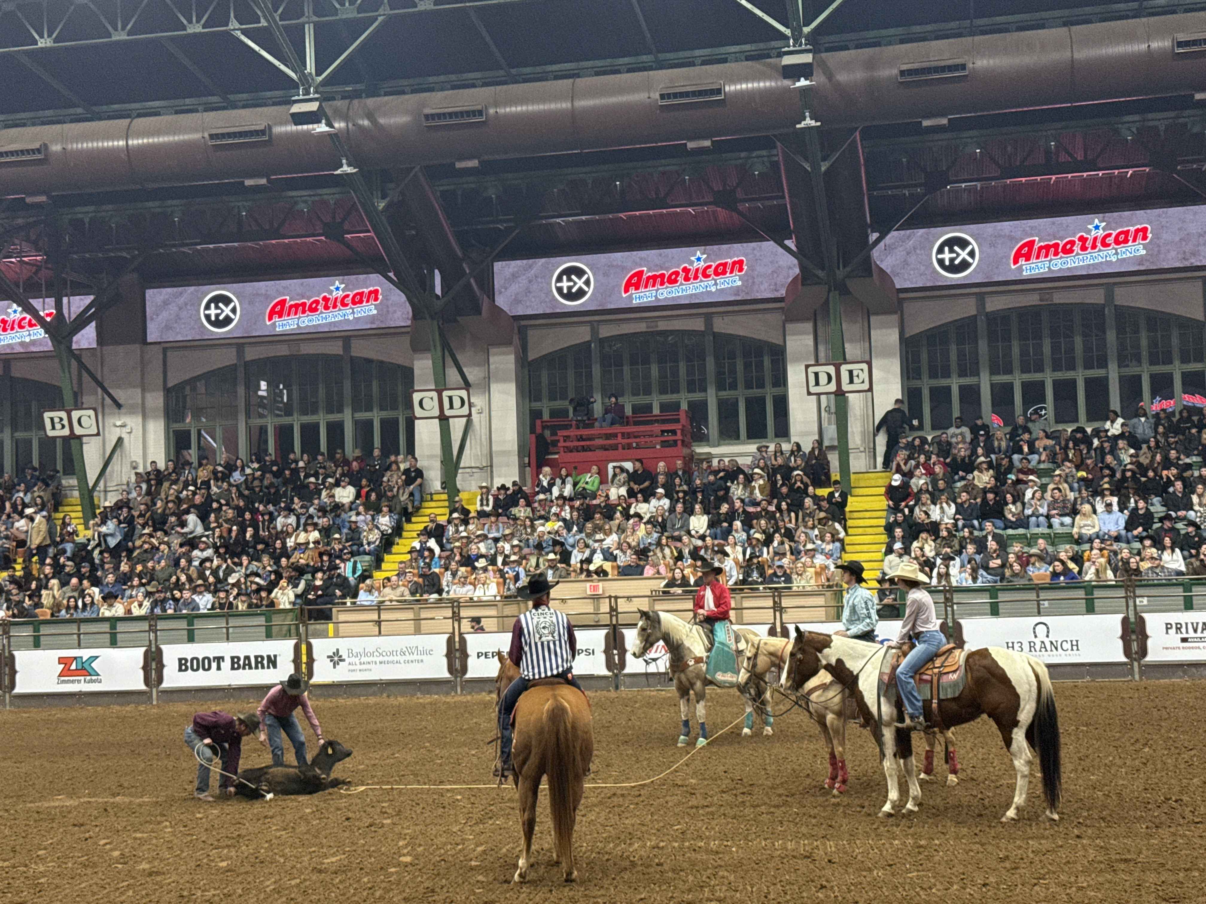 Rodeo aréna: kovbojové na koních lasují tele, tribuny plné diváků, American Hat Company.