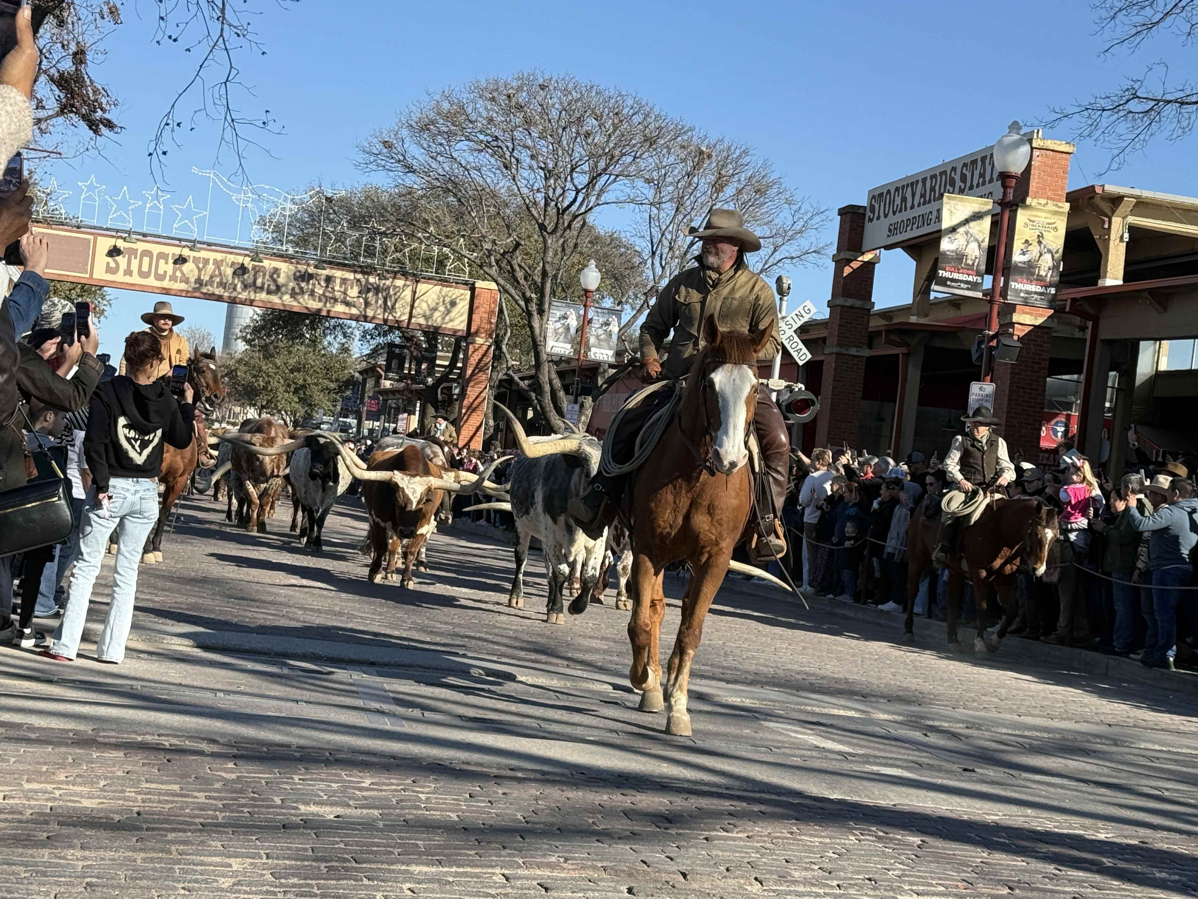 Kovbojové na koních ženou longhorny ulicí u nápisu STOCKYARDS STATION, dav přihlíží
