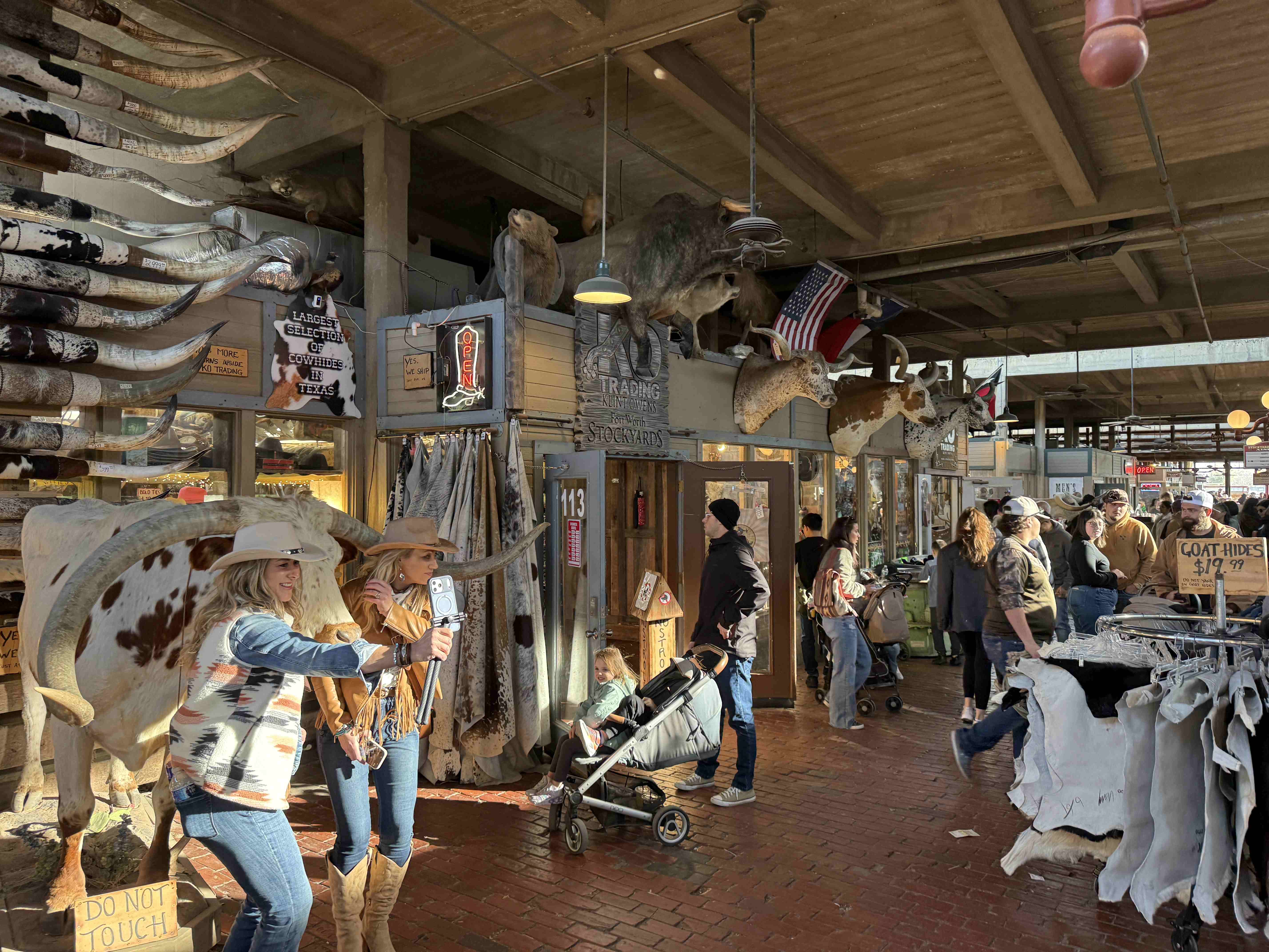 Lidé v hale Stockyards, vystavené longhorny, nápisy OPEN a Largest Selection Cowhides in Texas.