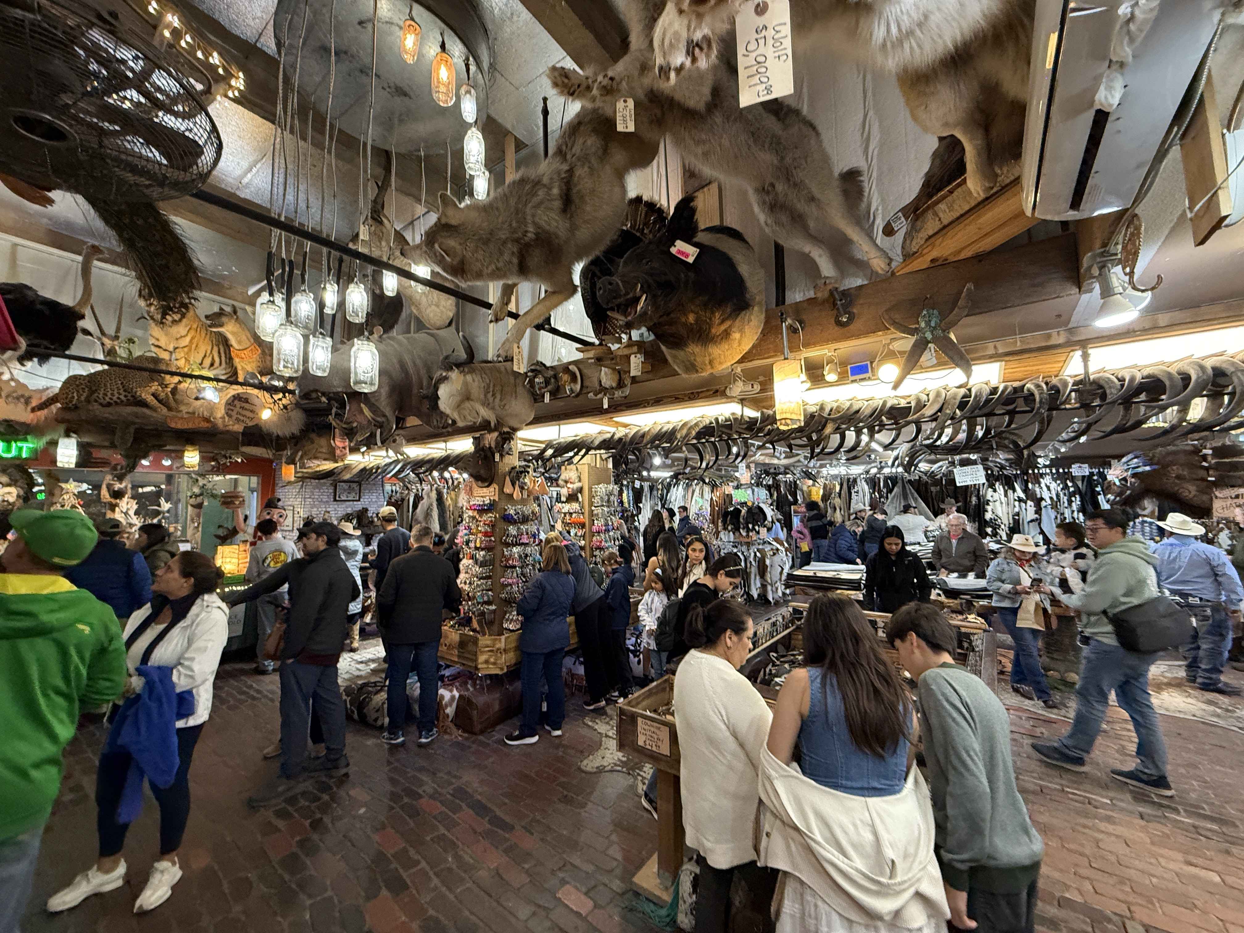 Přeplněný obchod ve Stockyards s parohy longhornů a preparovanými zvířaty na stropě