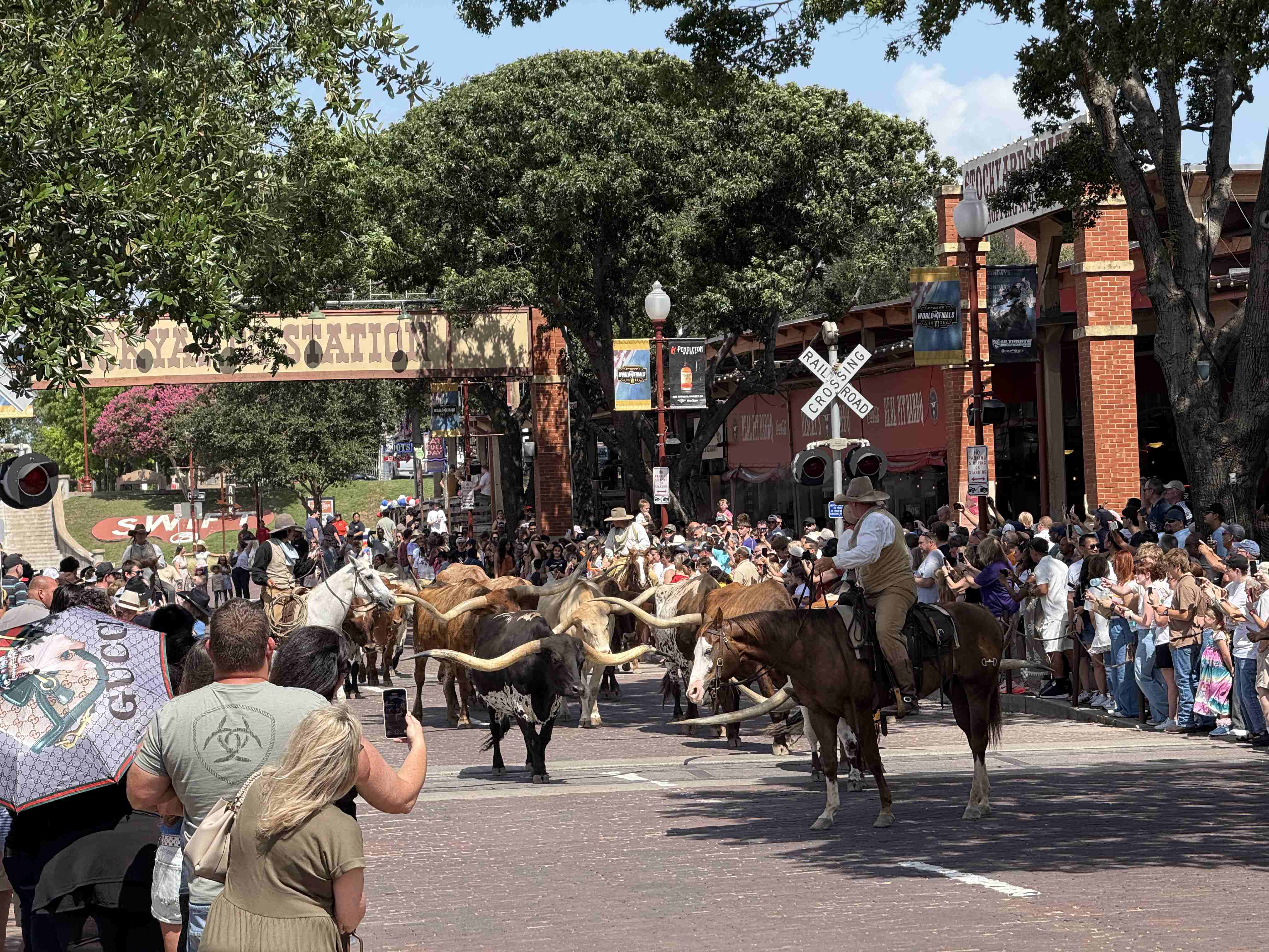Fort Worth stockyards - starý západ, cattle drive