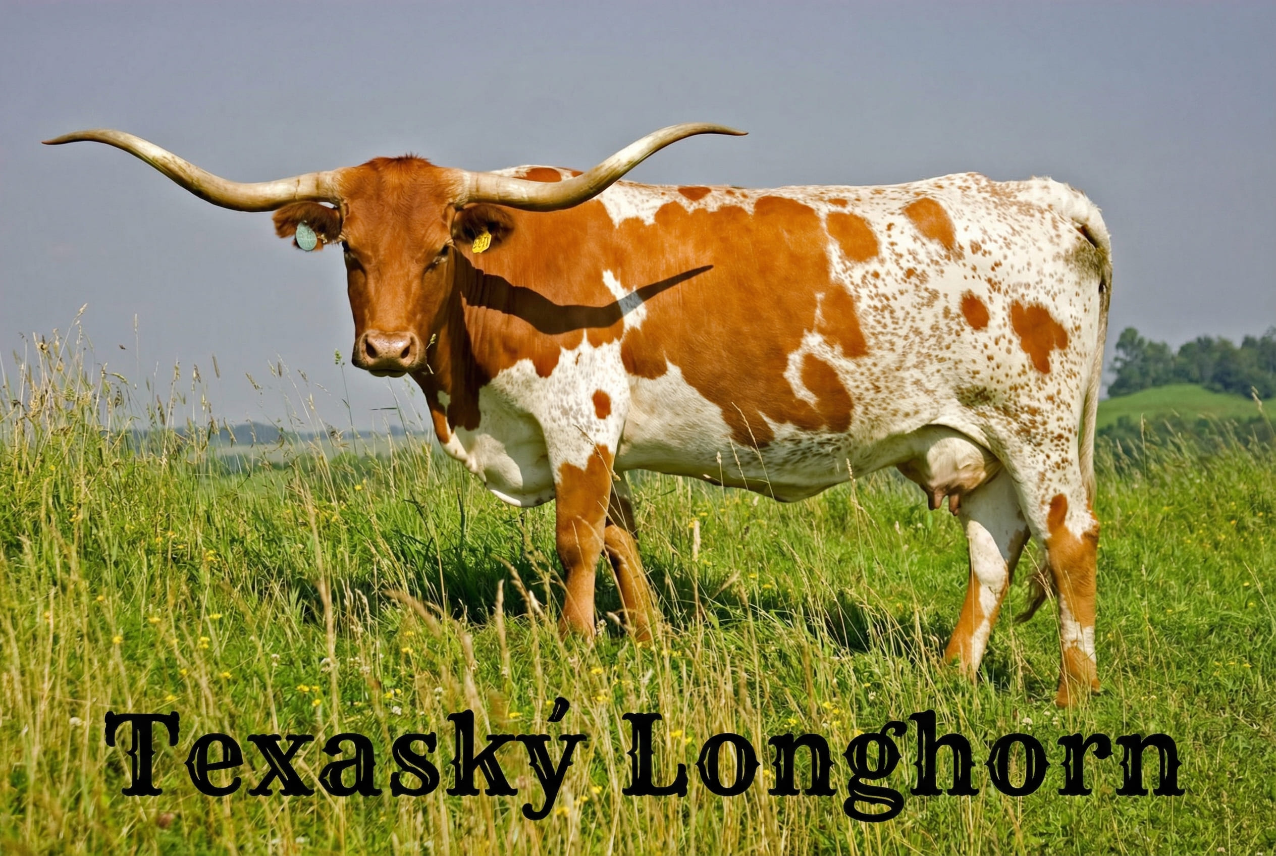 Fort Worth: Část druhá - Rané počátky