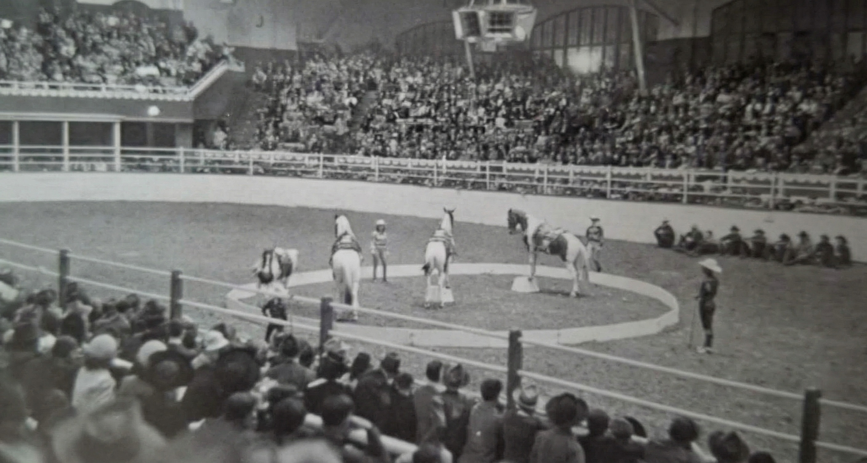 Poslední výstava koní v koloseu.