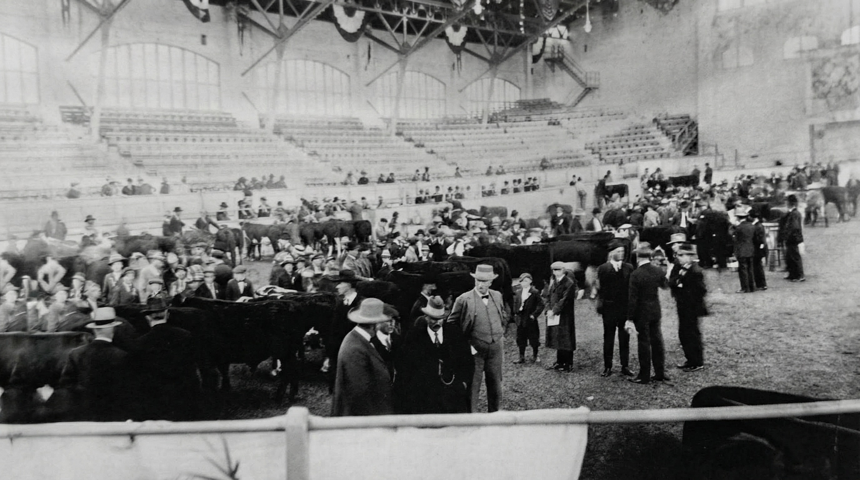 Návštěvníci sledují přehlídku dobytka v koloseu.