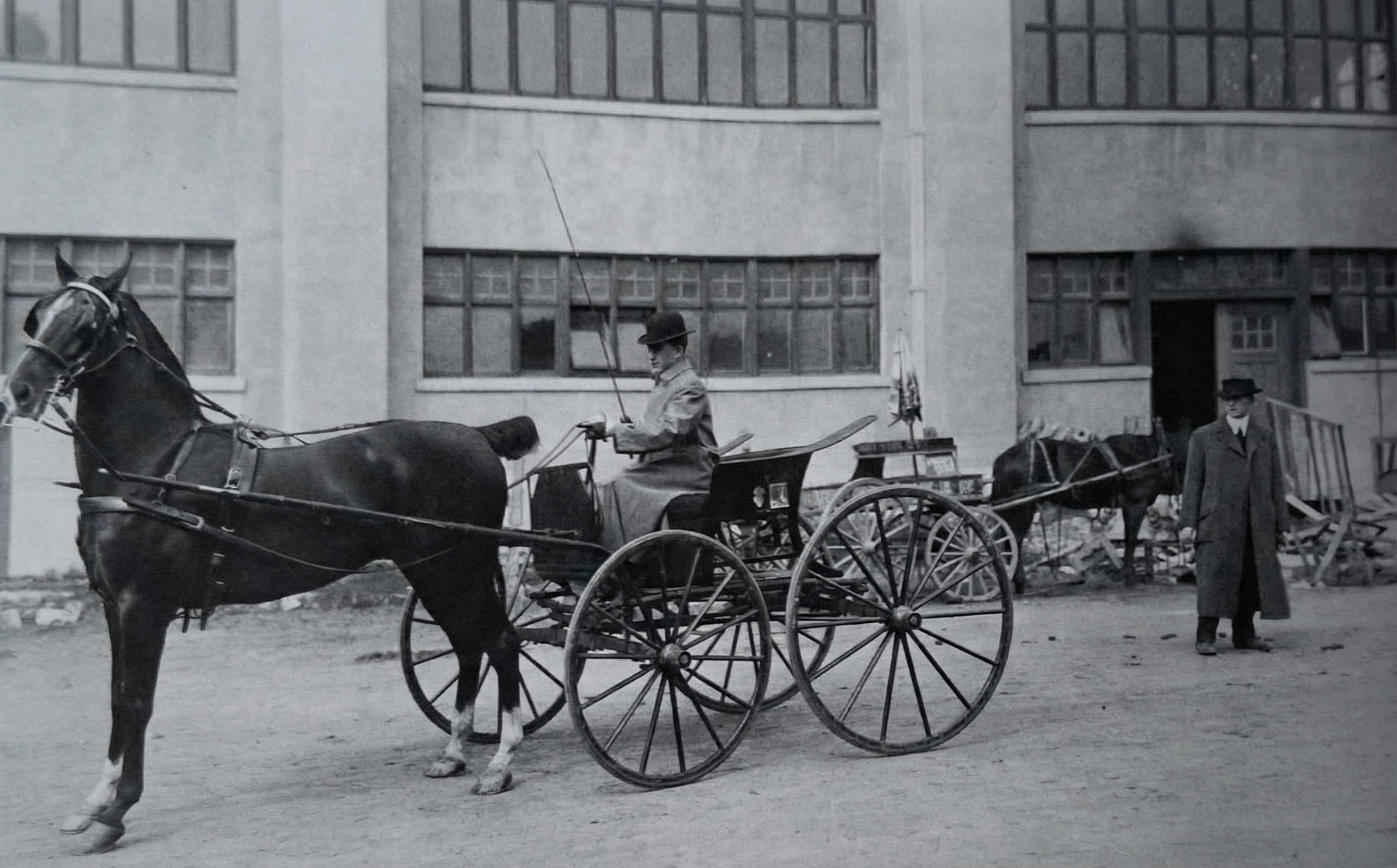 Řidič na této fotografii předvádí neporaženého postrojového koně.