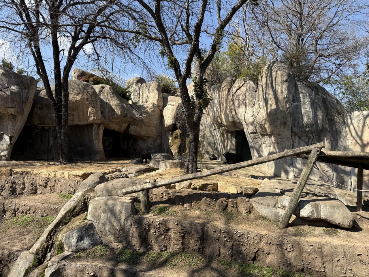 Skalnatý výběh v zoo s jeskyněmi, stromy a několika medvědy ve stínu