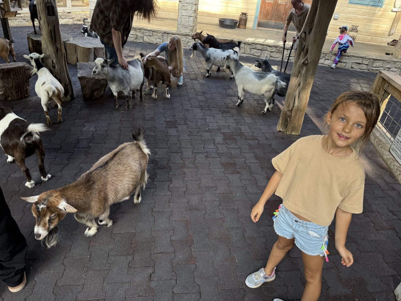 Děti hladí malé kozy v kontaktní zoo mezi dřevěnými sloupy a stromovými pařezy.