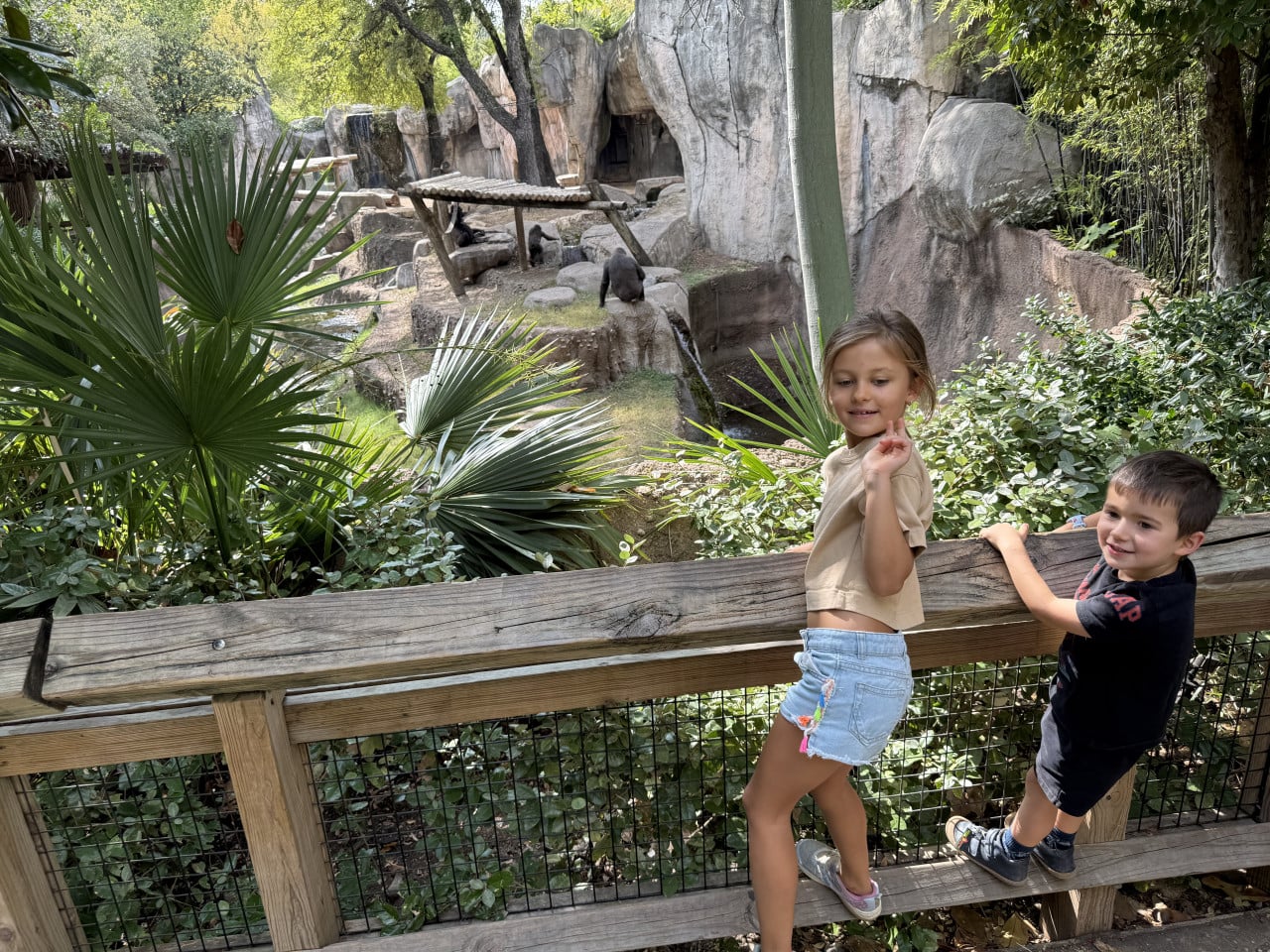 Děti sledují gorily v tropickém výběhu Fort Worth Zoo