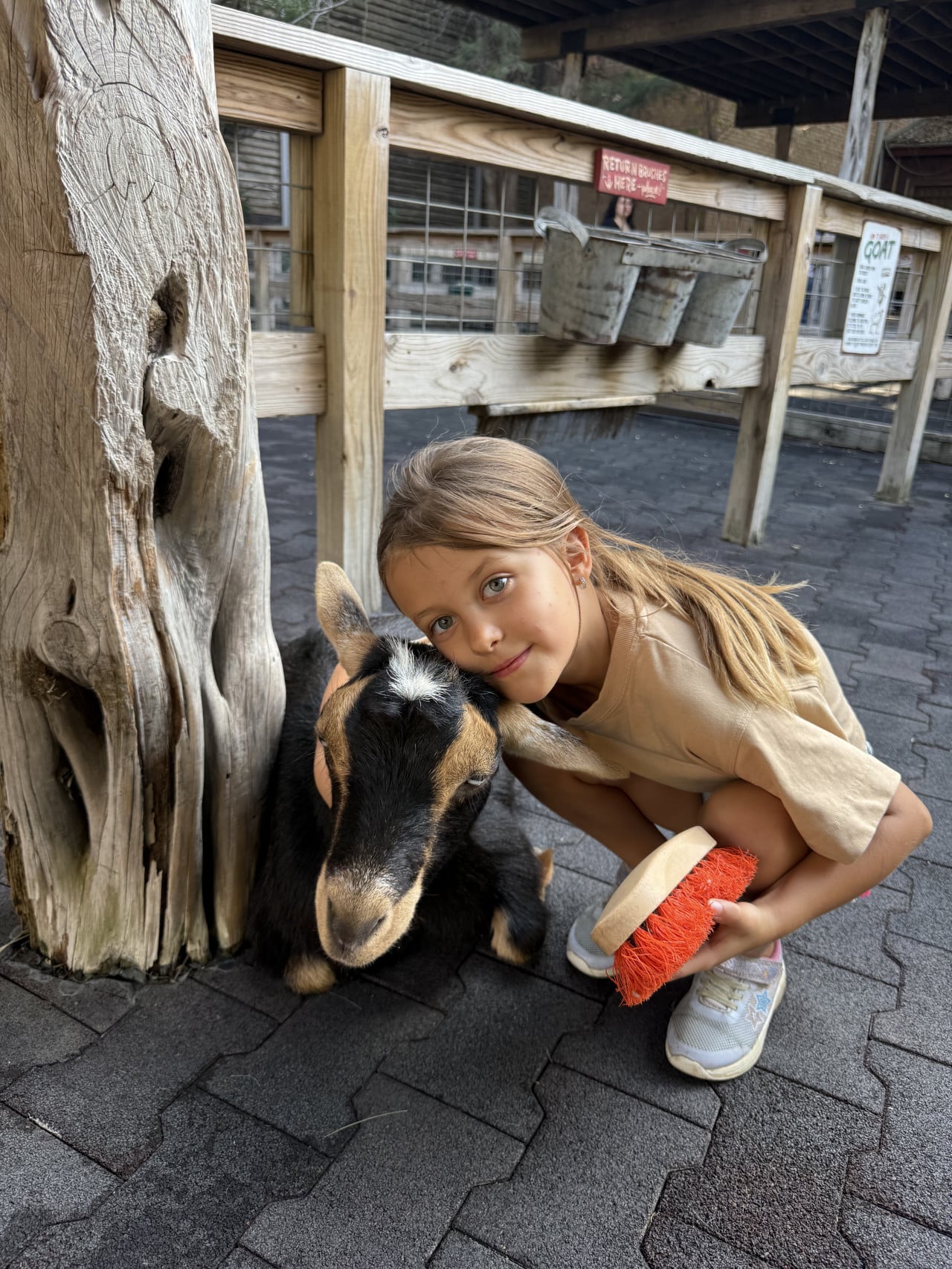 Dívka objímá kozu v kontaktní zoo u dřevěného oplocení.