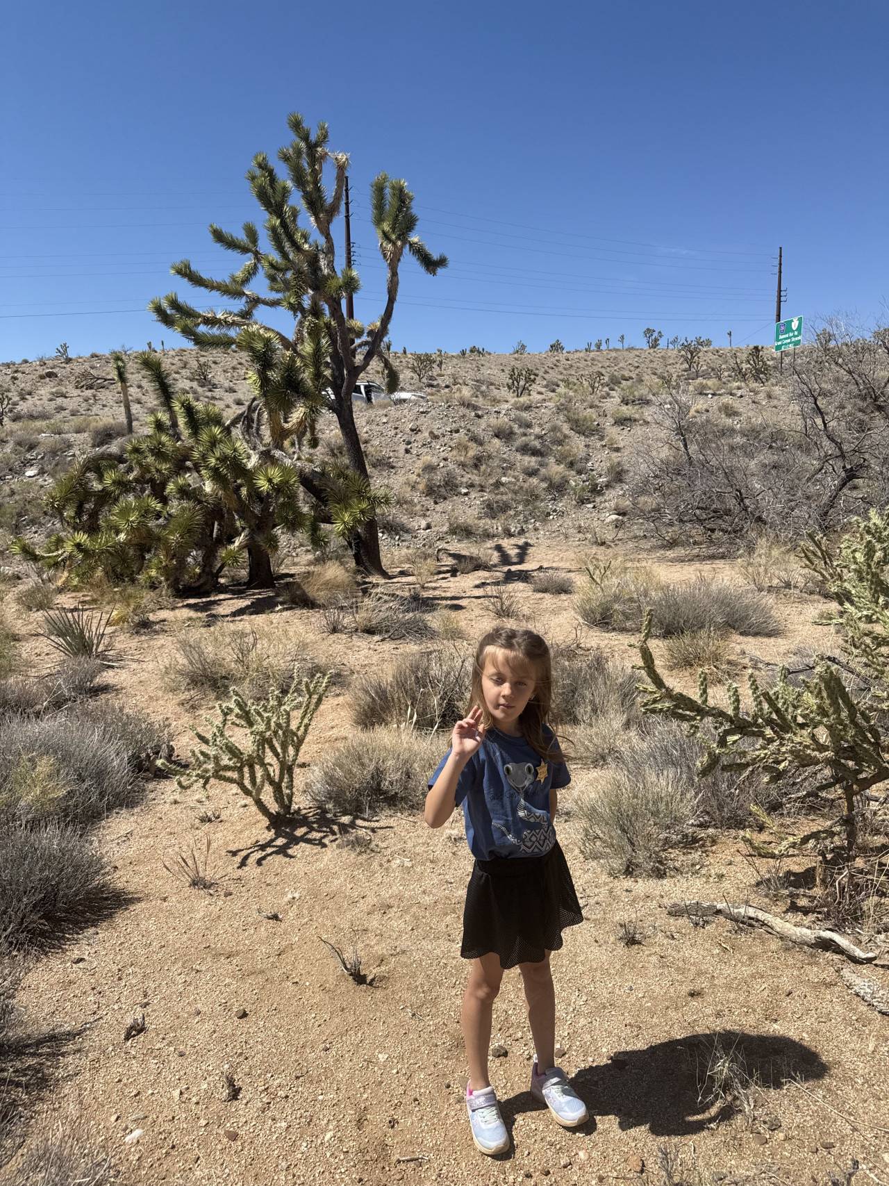 Dívka stojí v poušti mezi Joshua trees, na pozadí silniční značka a modrá obloha