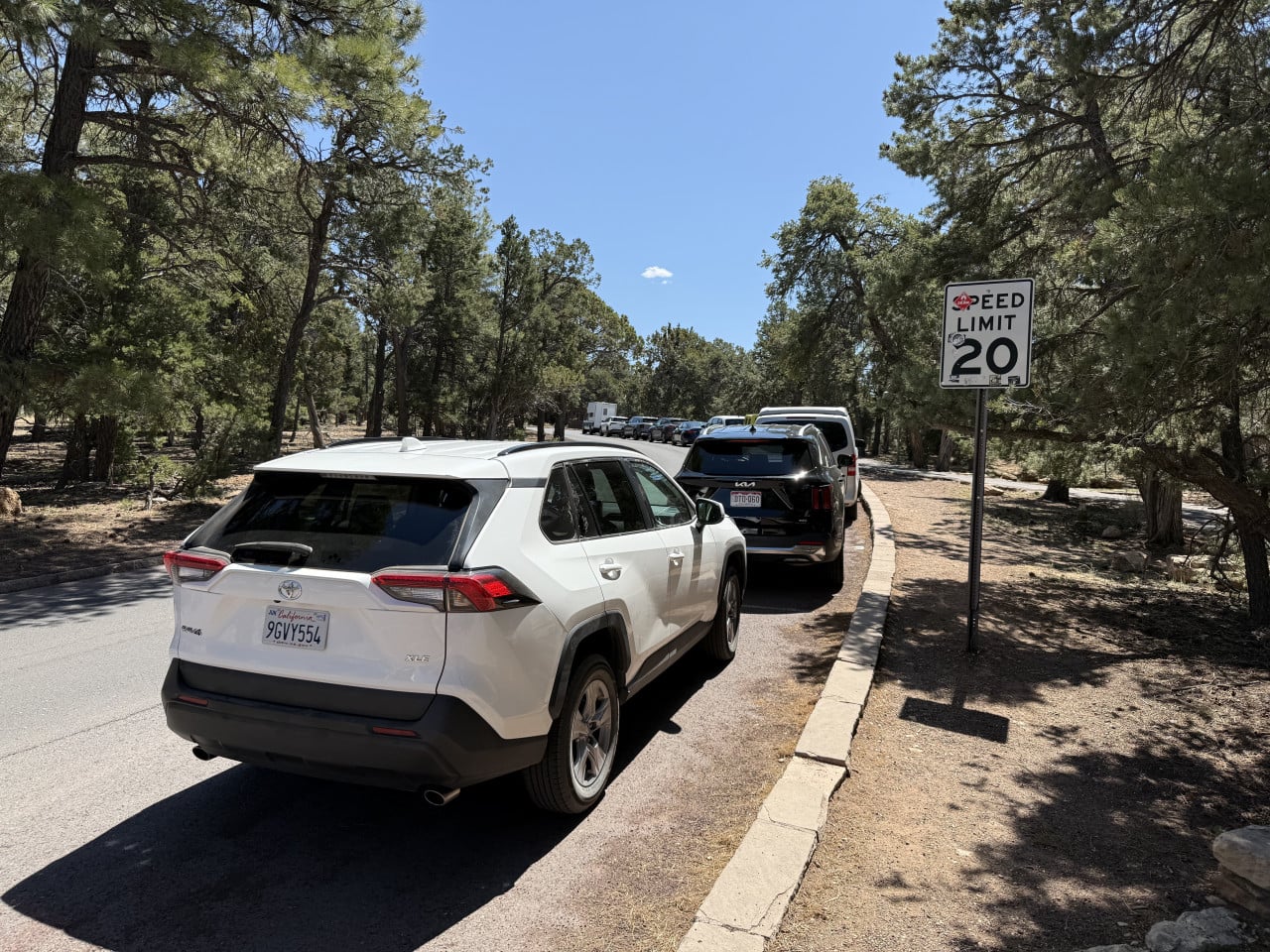 Fronta aut u lesa u značky Speed Limit 20 na silnici v Grand Canyon Village