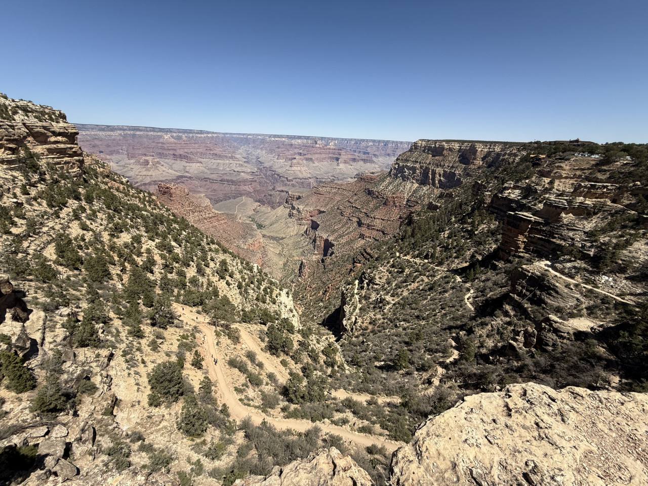Pohled na Grand Canyon s klikatou stezkou mezi skalami a borovicemi.