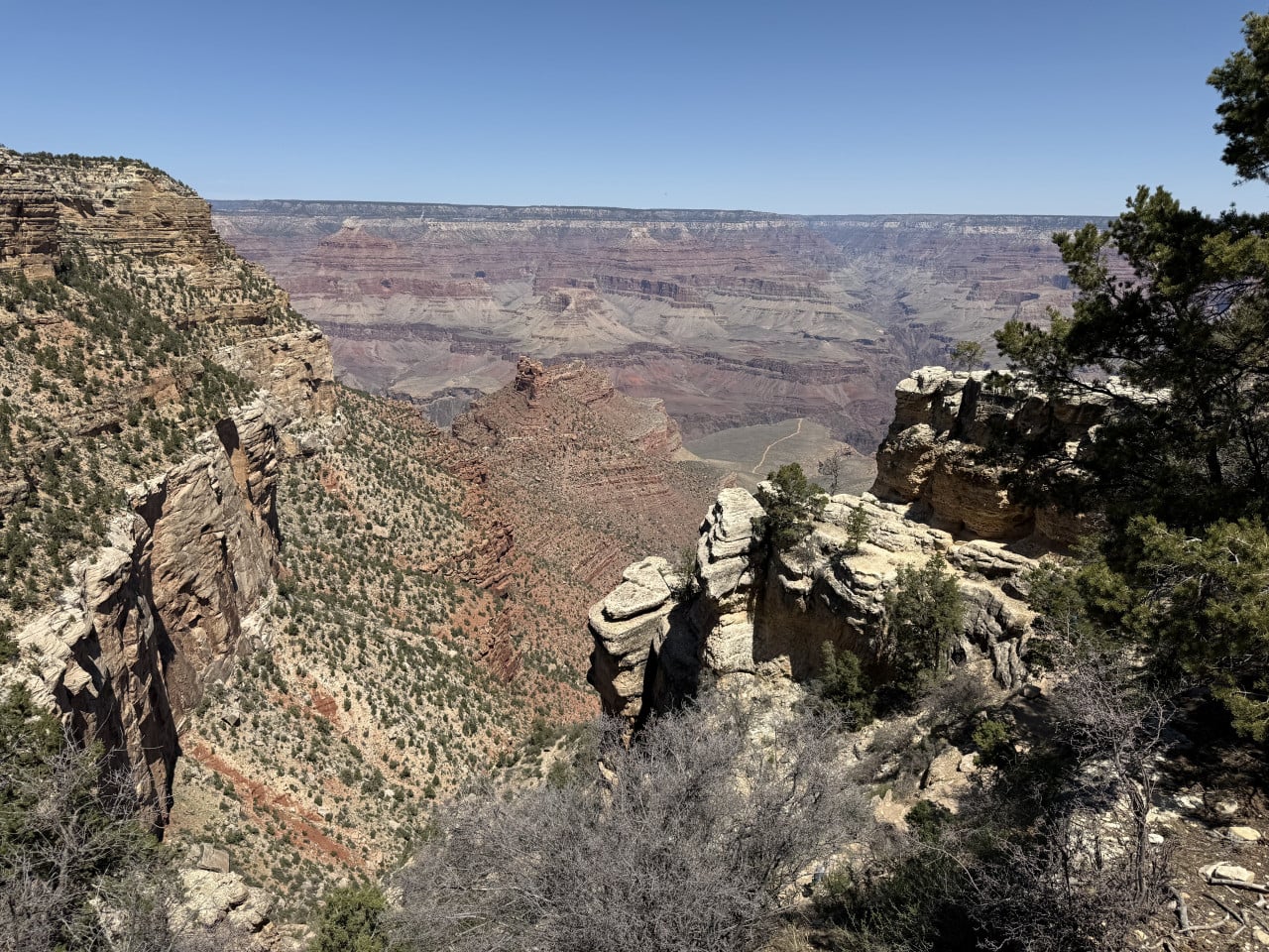 Výhled na Grand Canyon z trailu, skalní stěny a borovice, modrá obloha