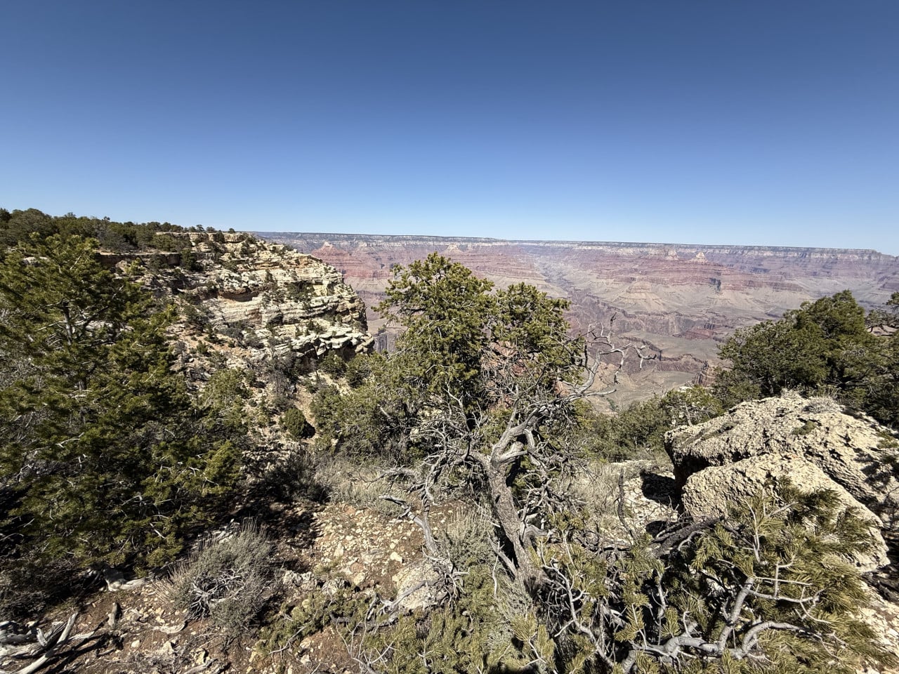 Pohled na Grand Canyon s skalami, borovicemi a modrou oblohou z trailu.