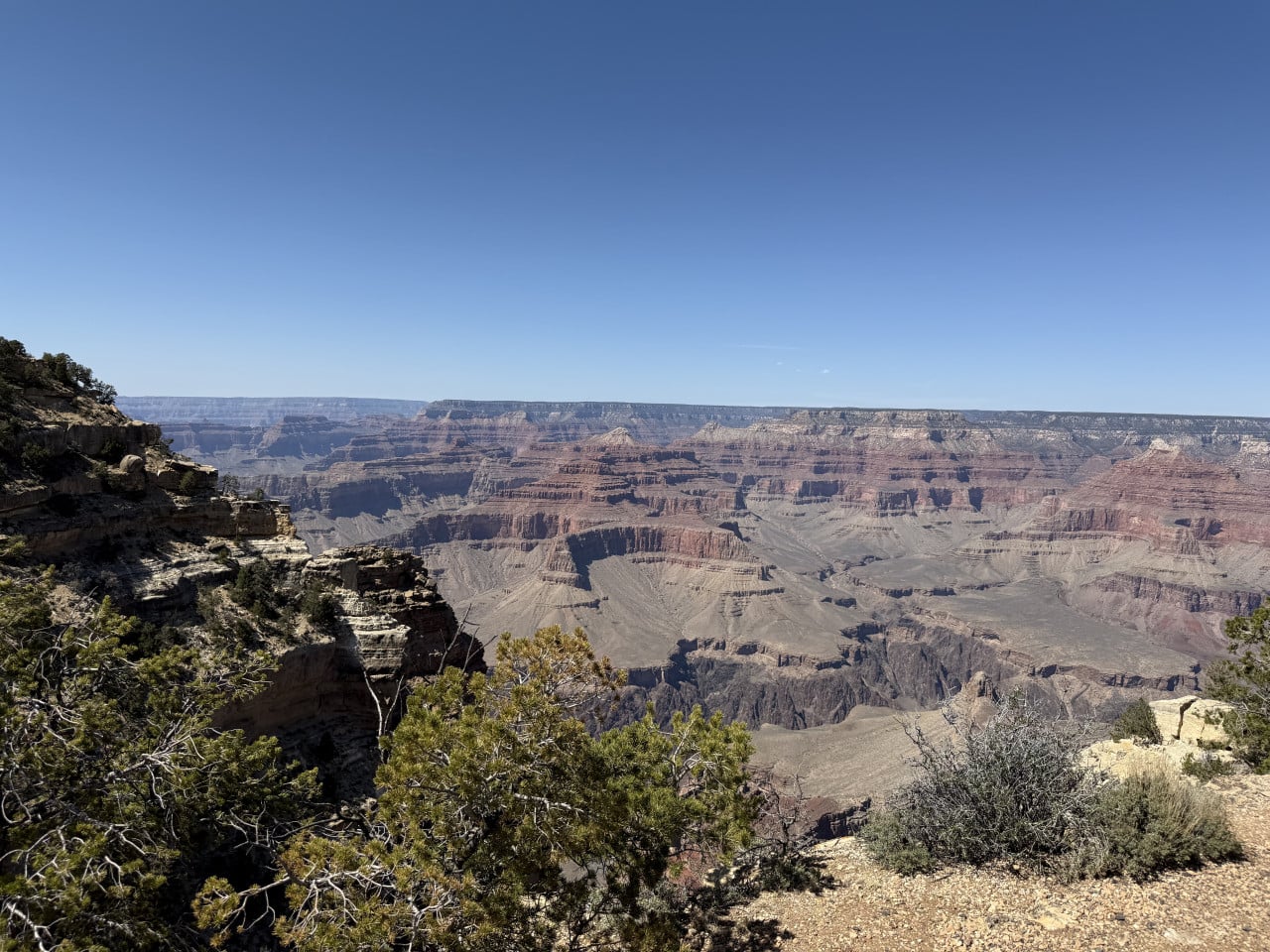 Pohled na Grand Canyon z trailu s keři a skalním okrajem v popředí.