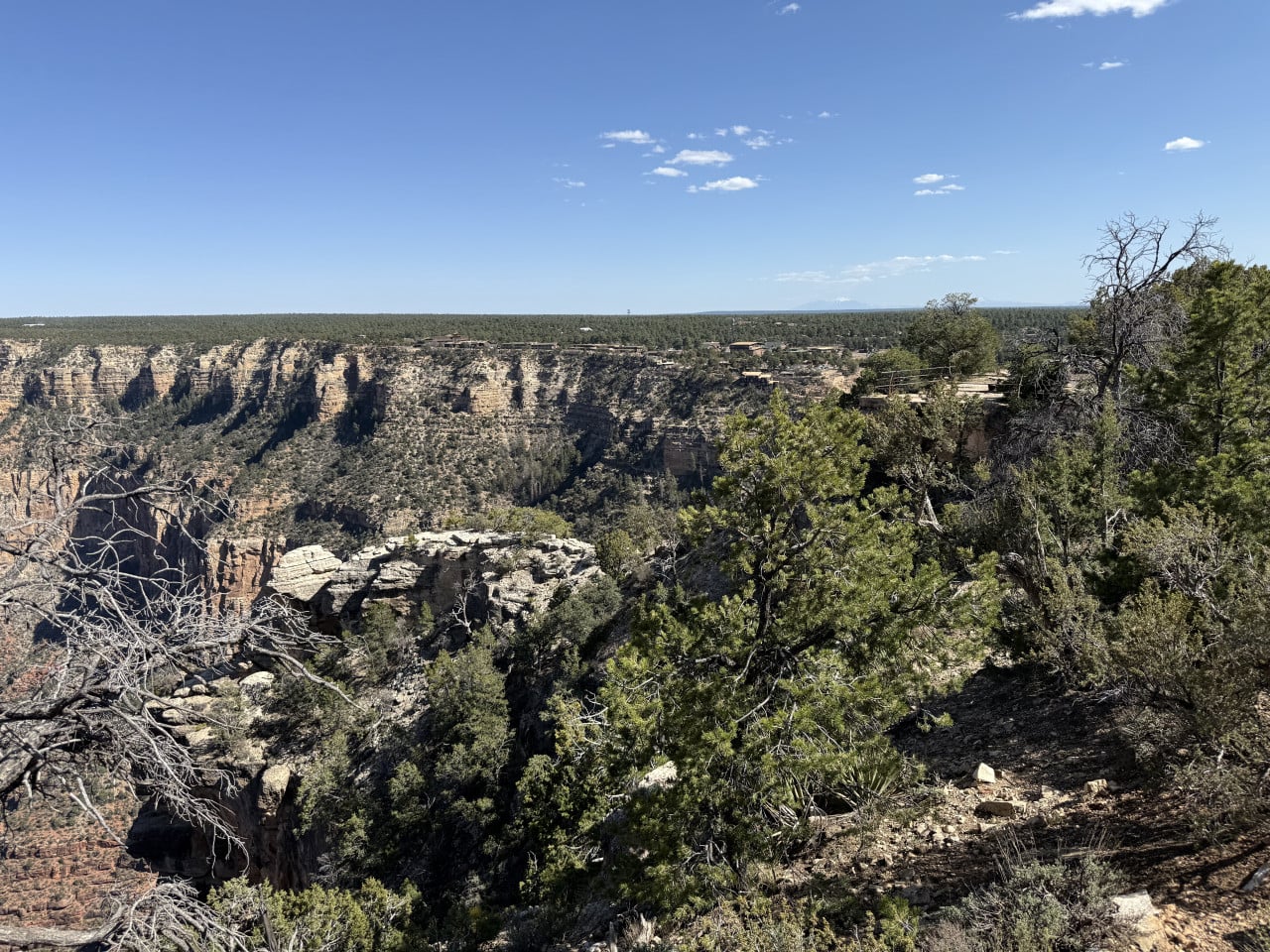 Výhled na Grand Canyon z trailu, lesy, skalní stěny a Grand Canyon Village v dálce